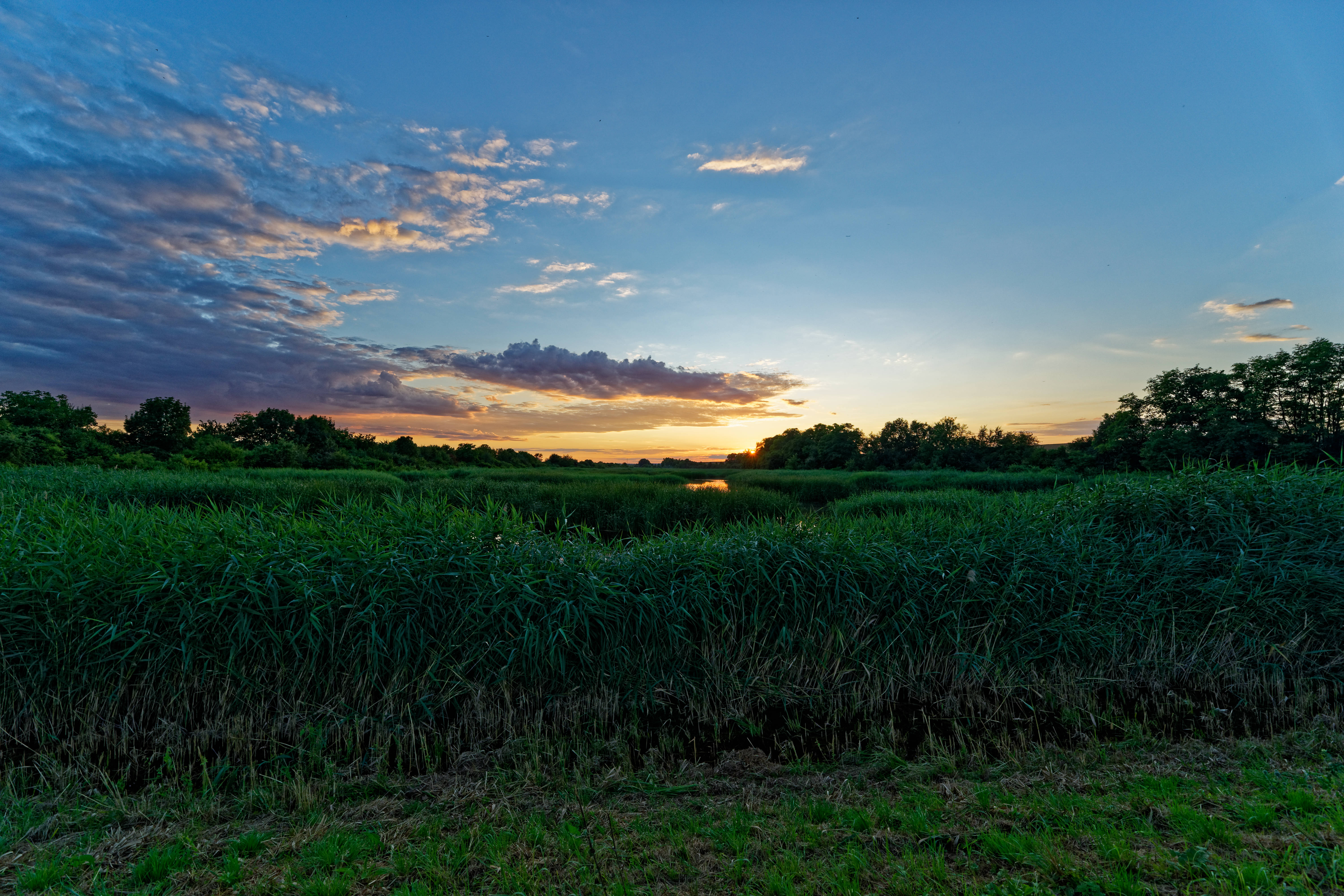 Sonnenuntergang Sonnenuntergang