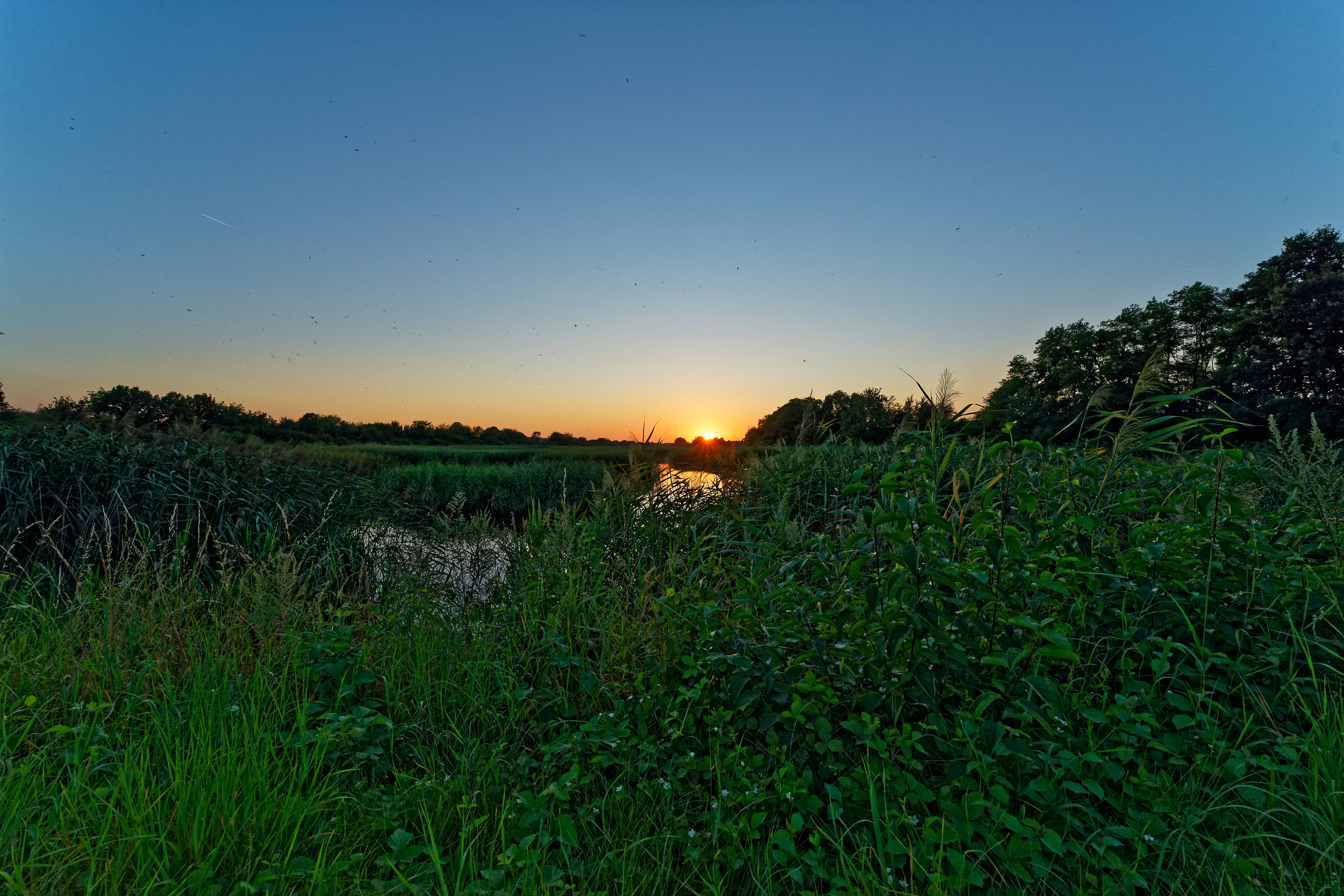 Sonnenuntergang Sonnenuntergang