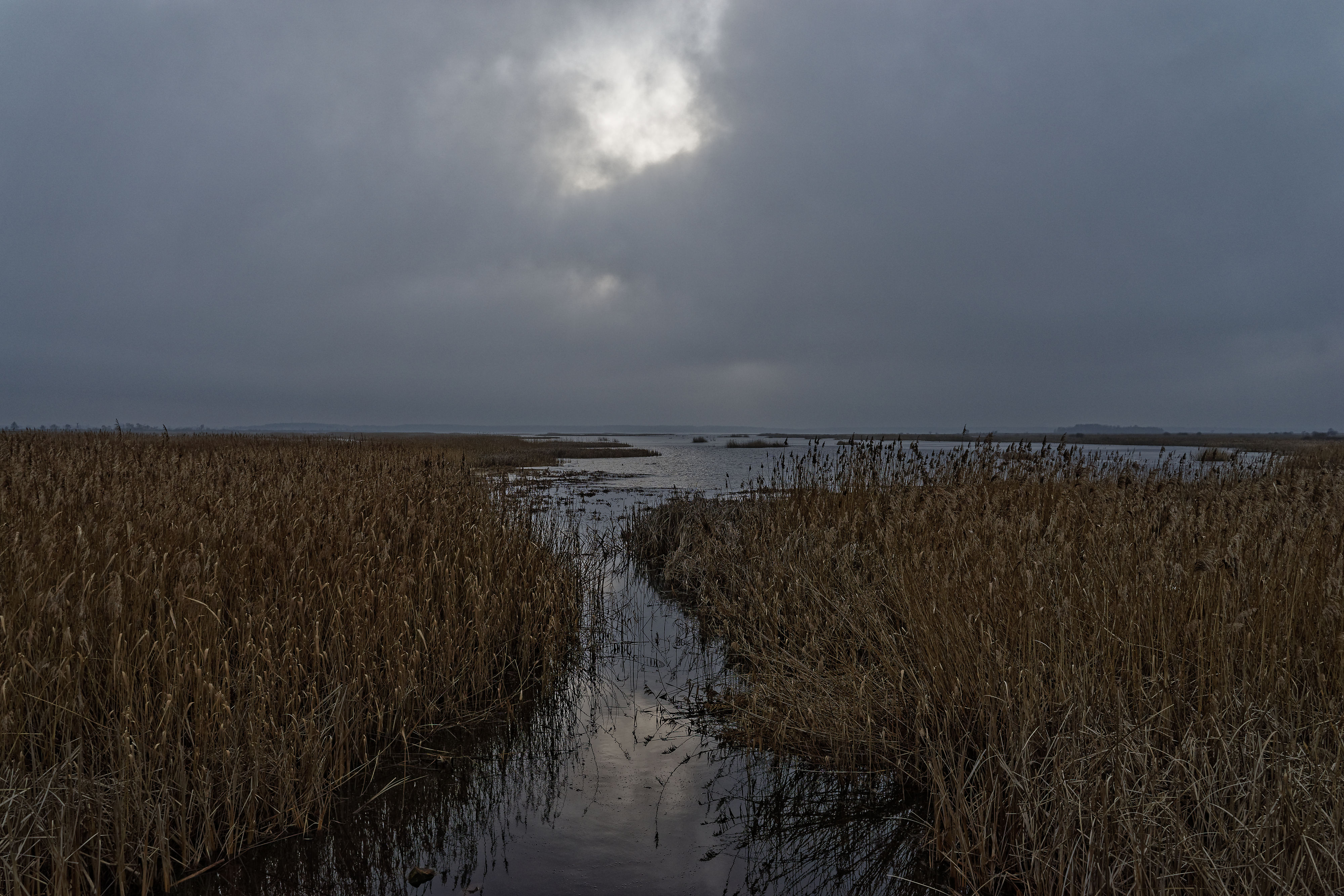 Cisowka Februar 2019 Cisowka Februar 2019