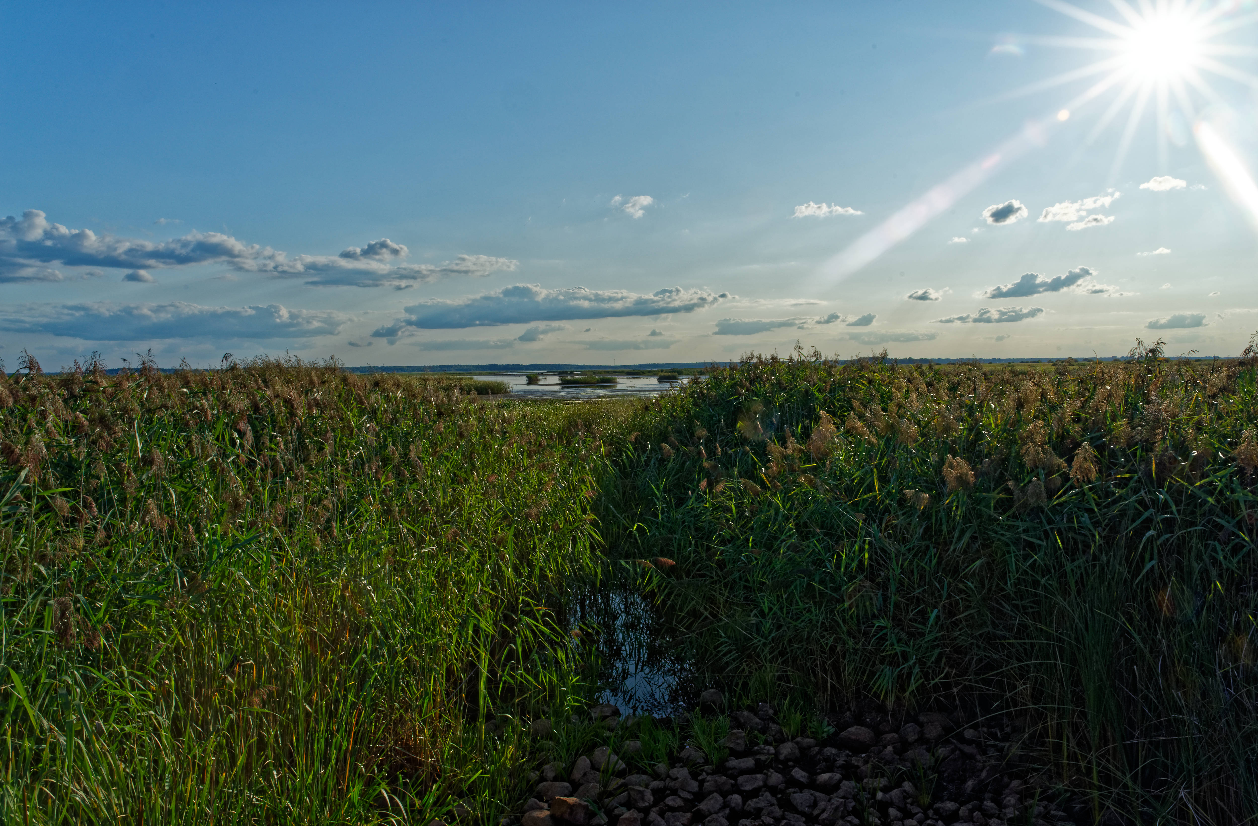 Cisowka August 2019 Cisowka August 2019