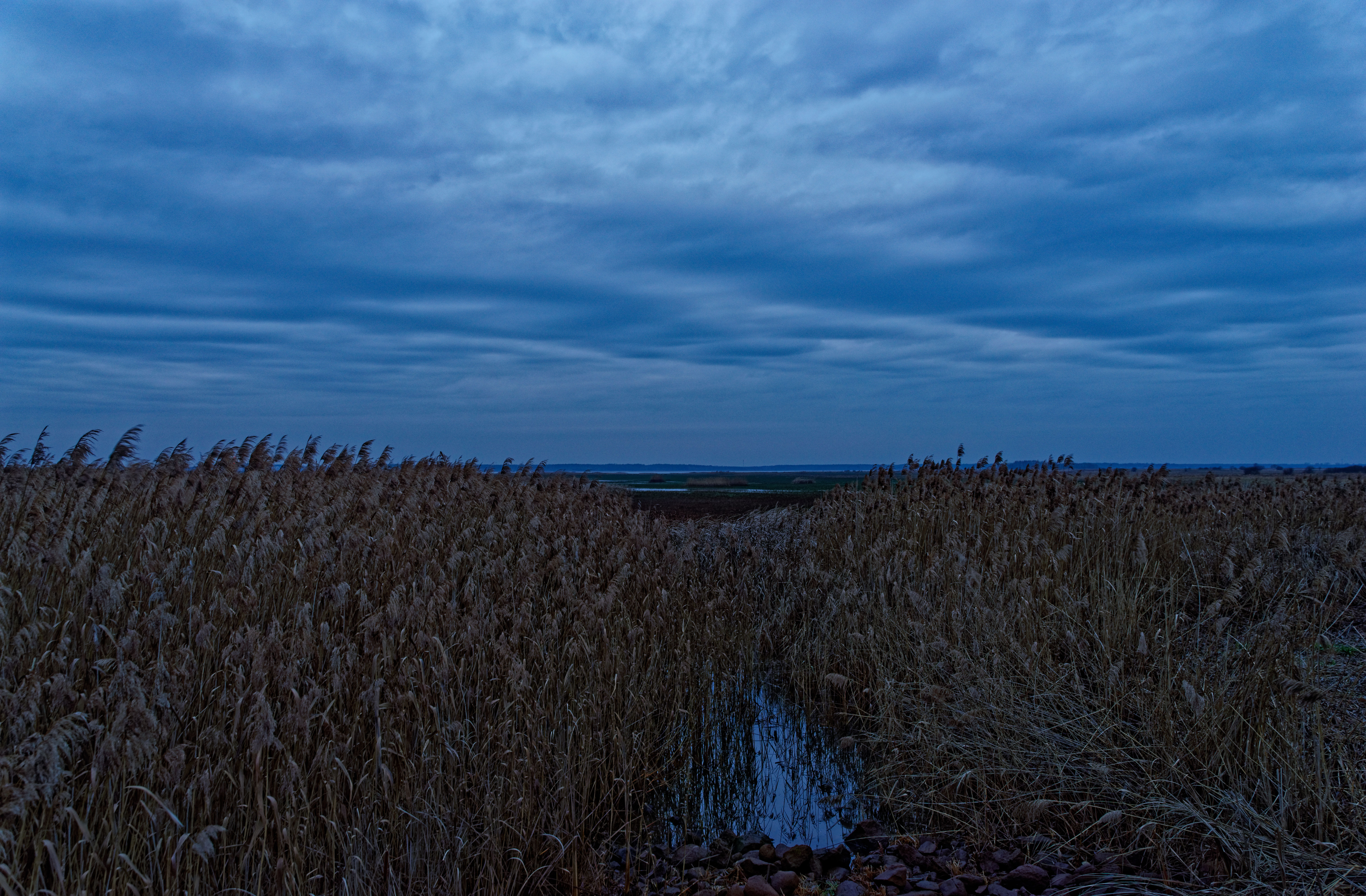 Cisowka December 2091 Cisowka December 2019