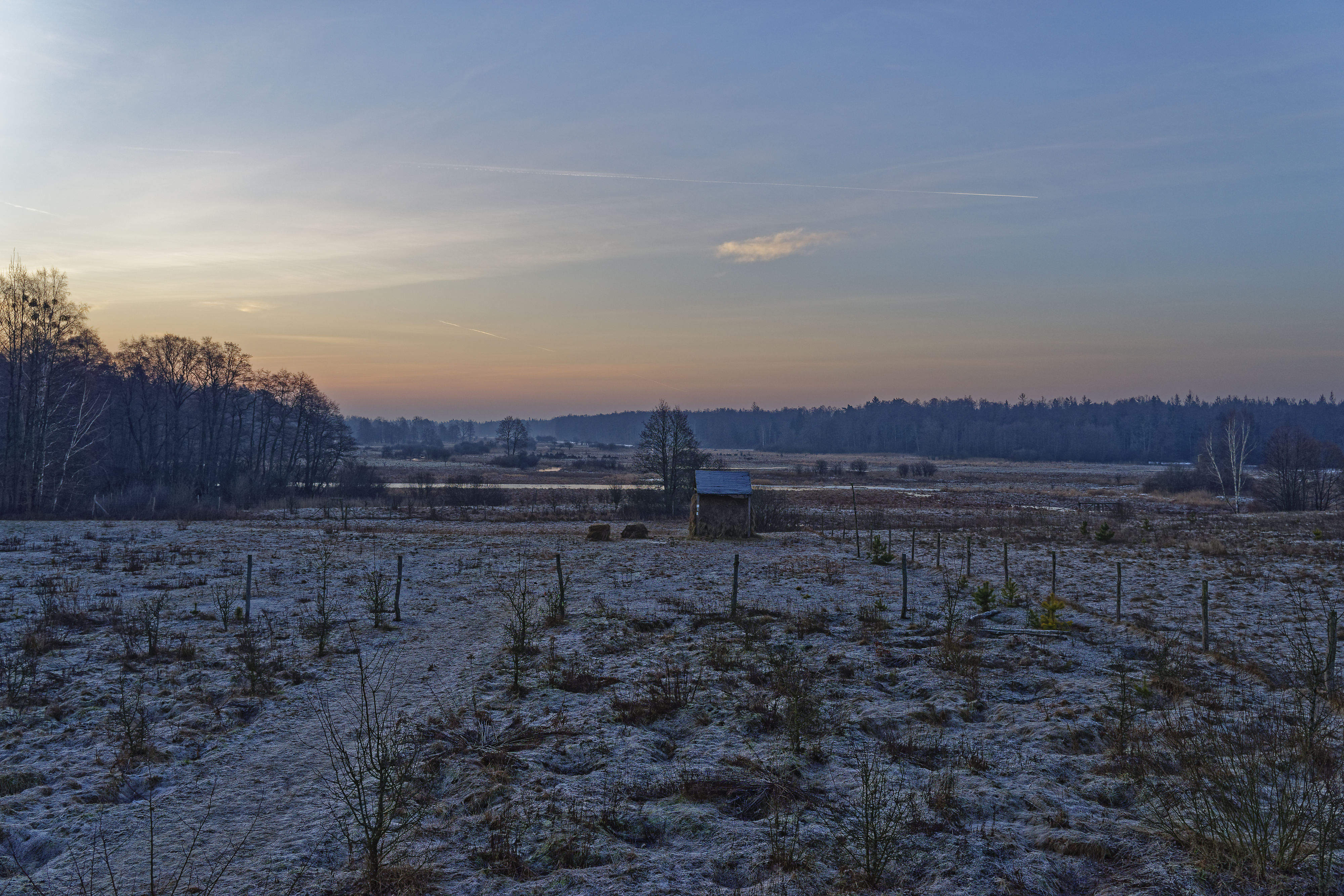 Gruszki Februar 2019