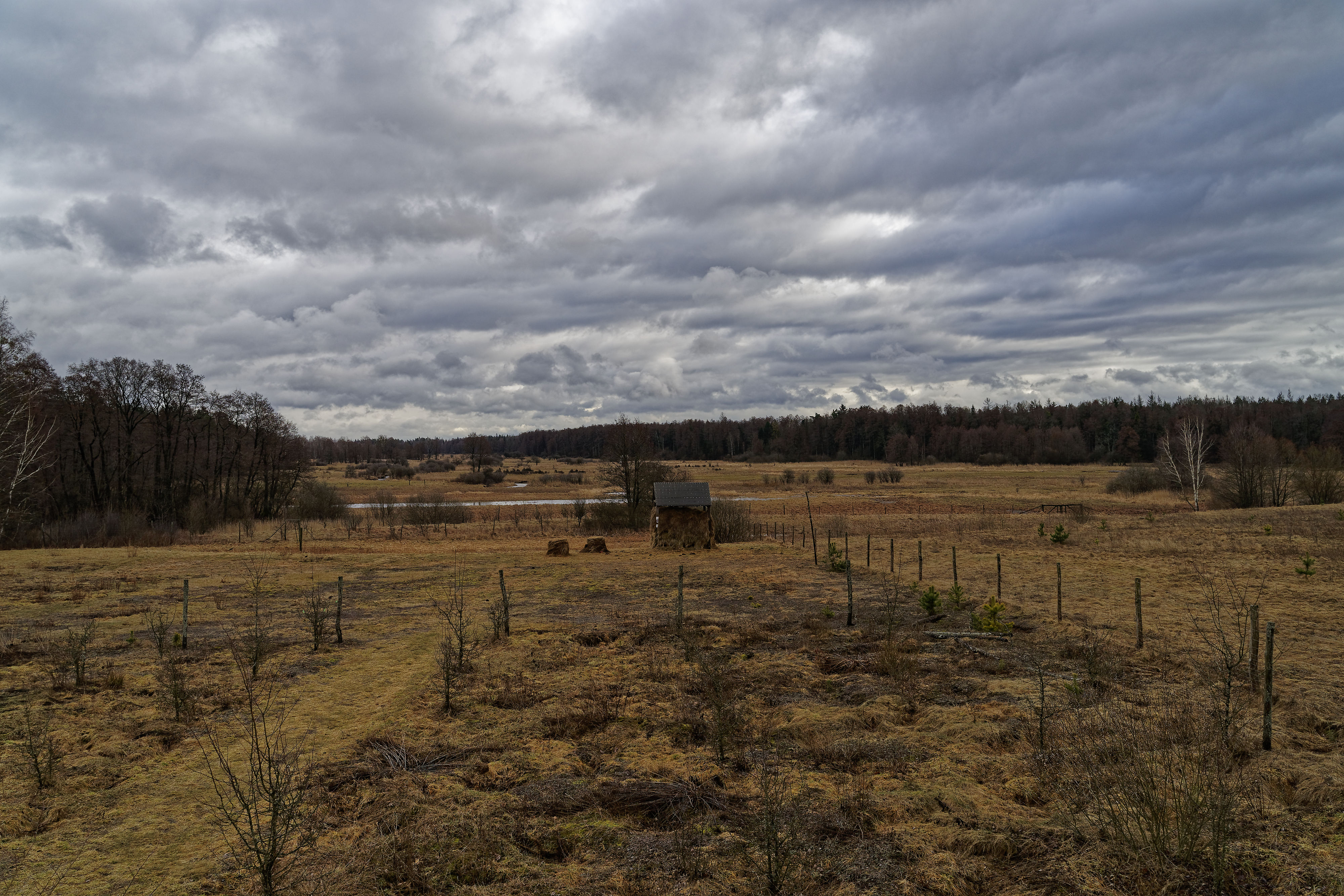 Gruszki March 2019