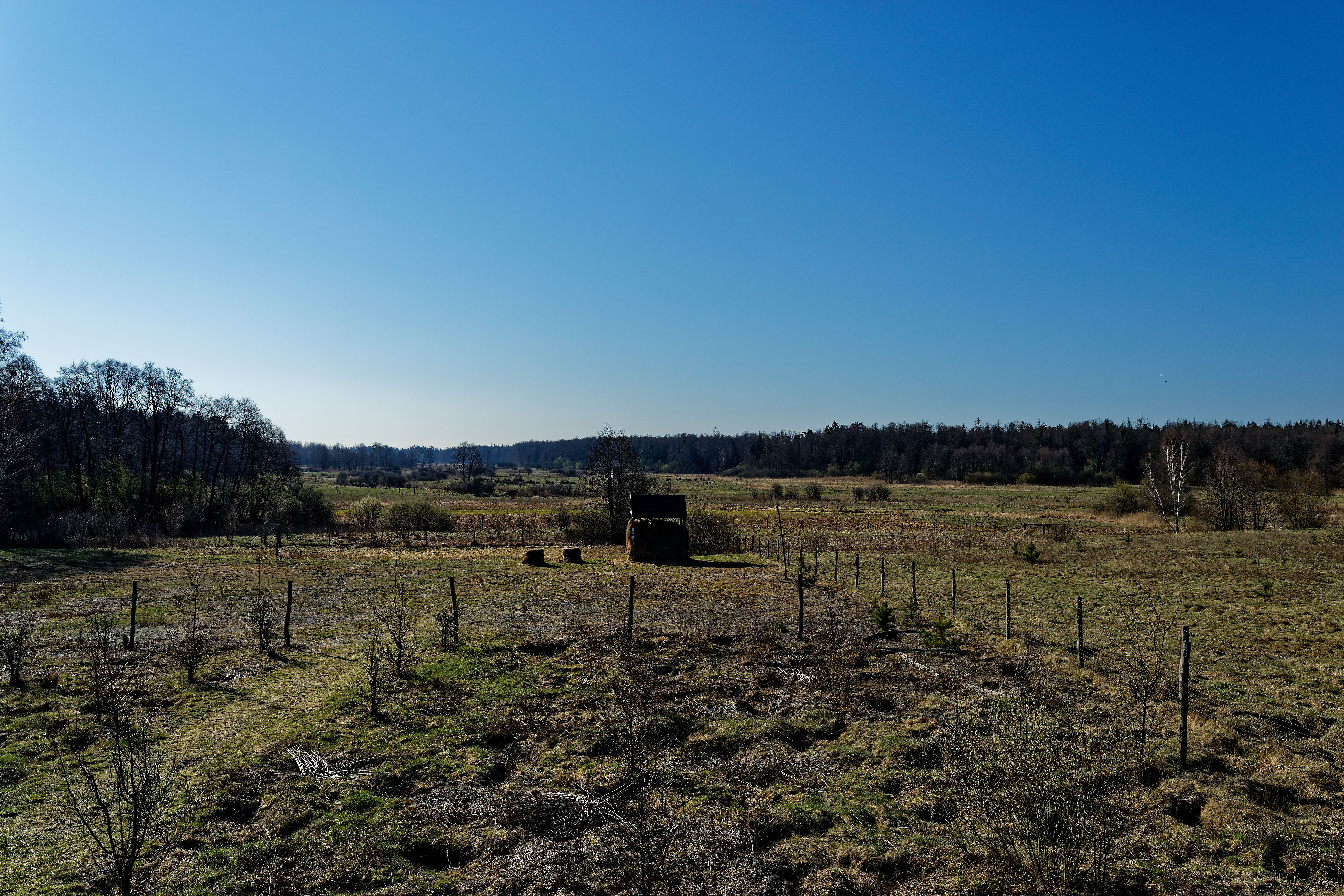 Gruszki April 2019 Gruszki April 2019