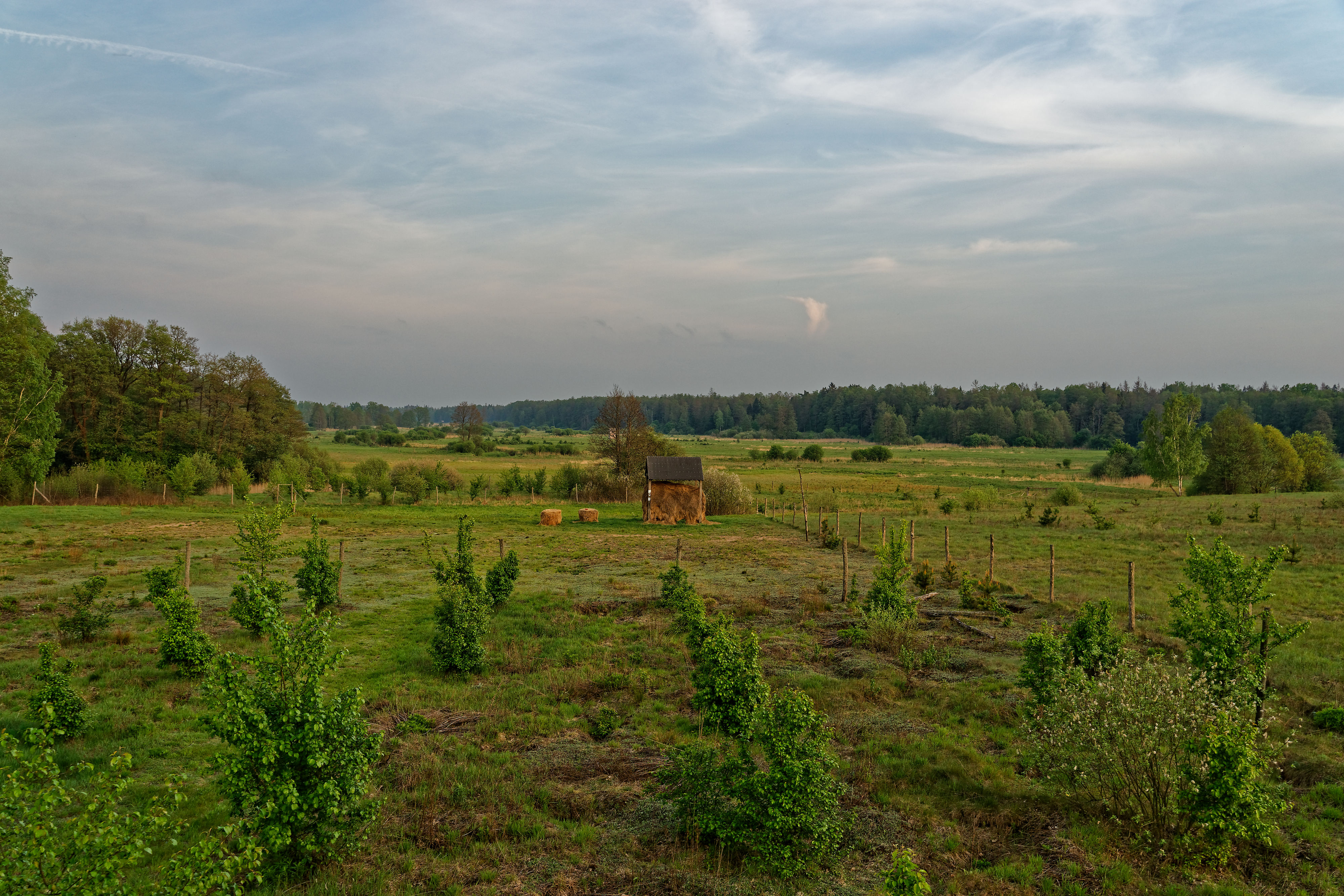 Gruszki May 2019