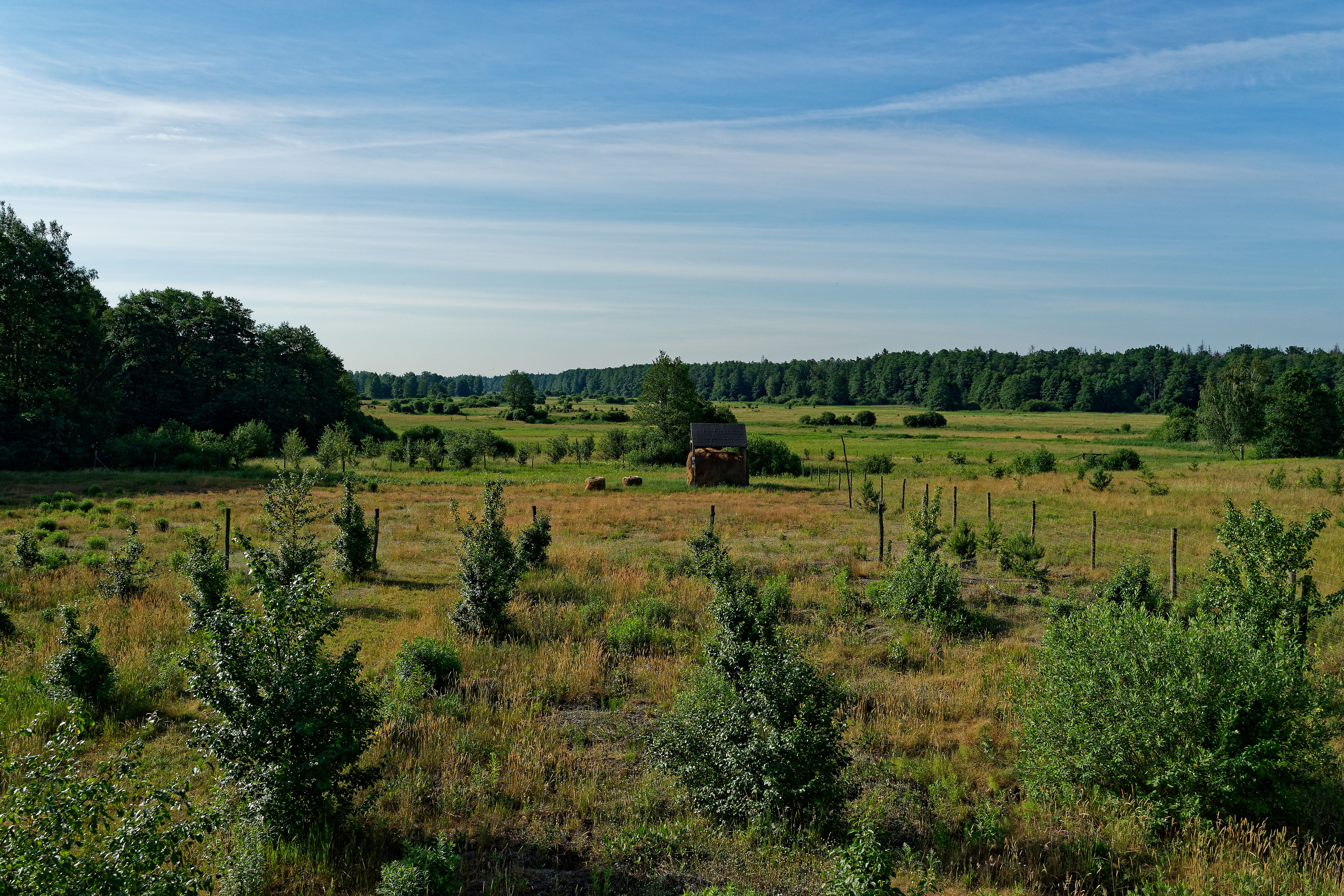 Gruszki June 2019 Gruszki June 2019