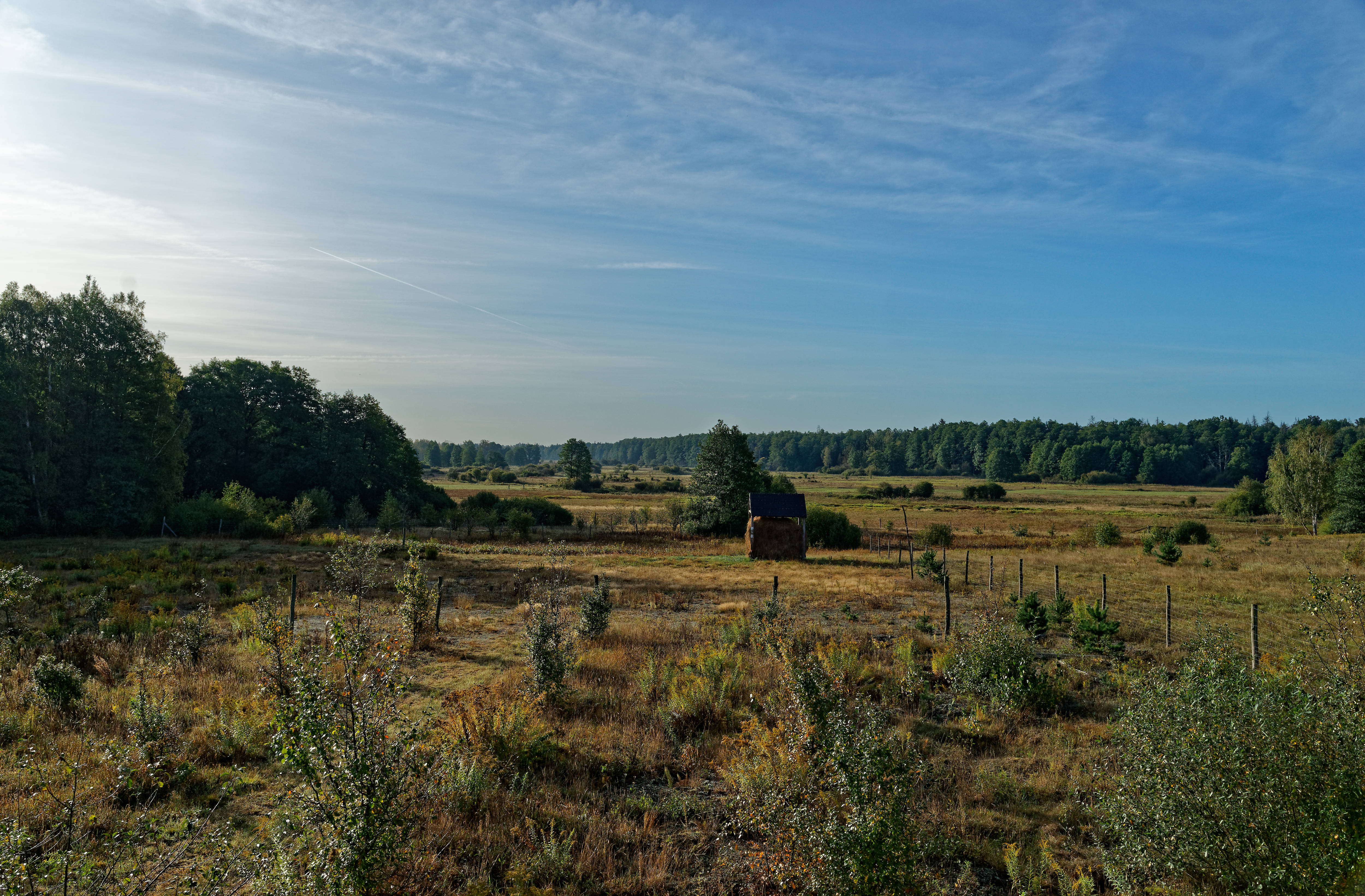 Gruszki September 2019