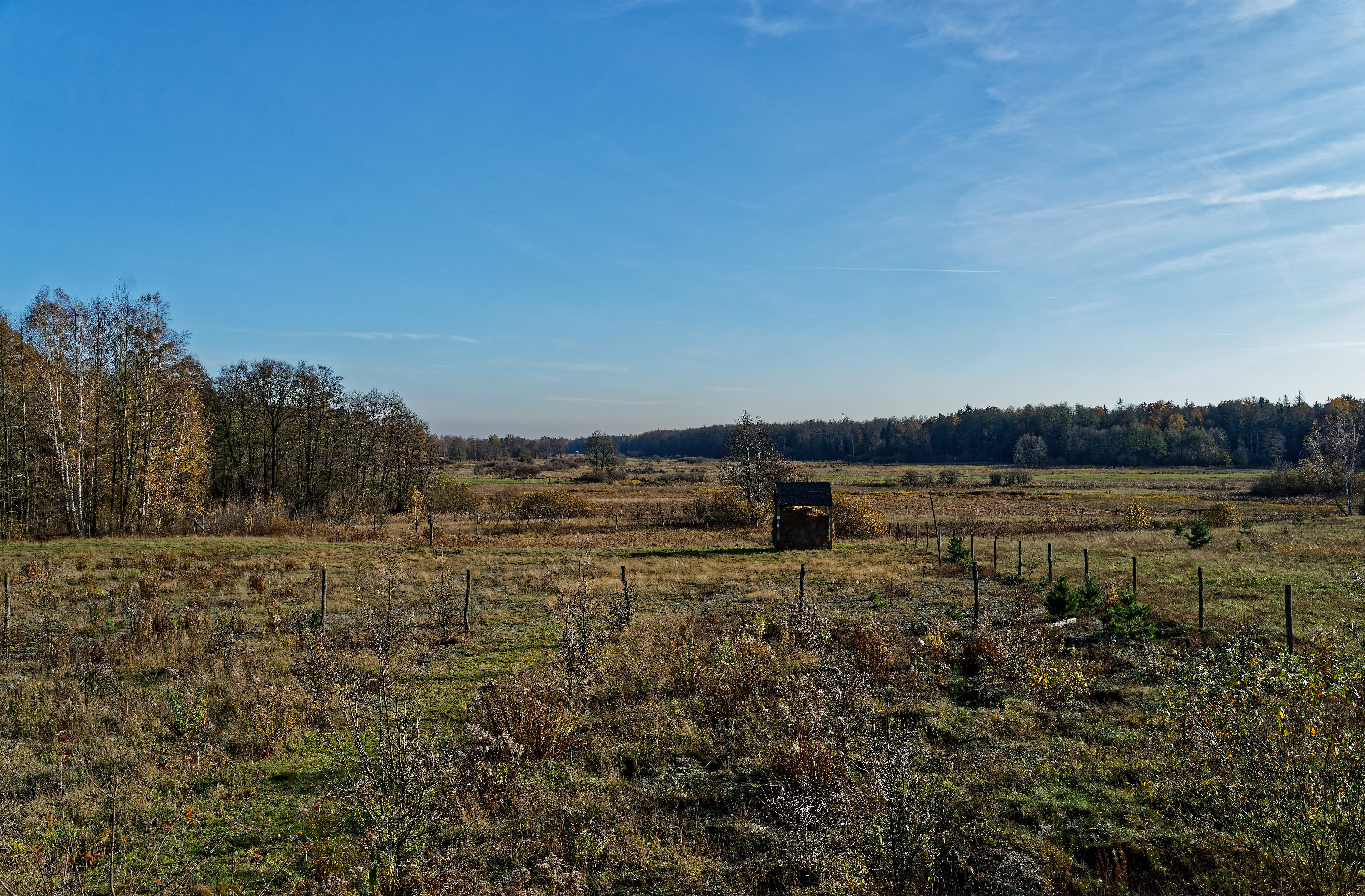 Gruszki October 2019