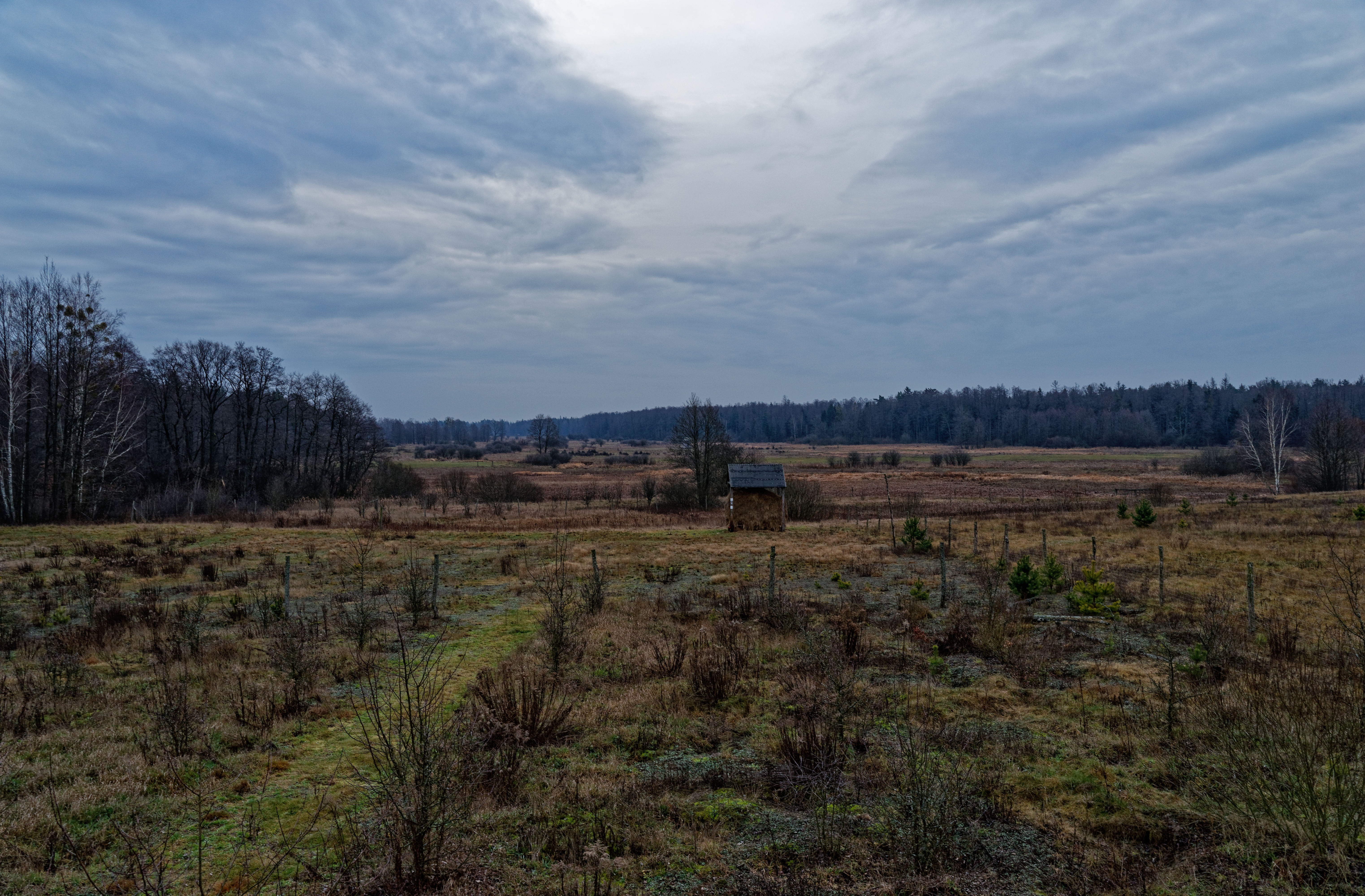 Gruszki December 2091 Gruszki December 2019