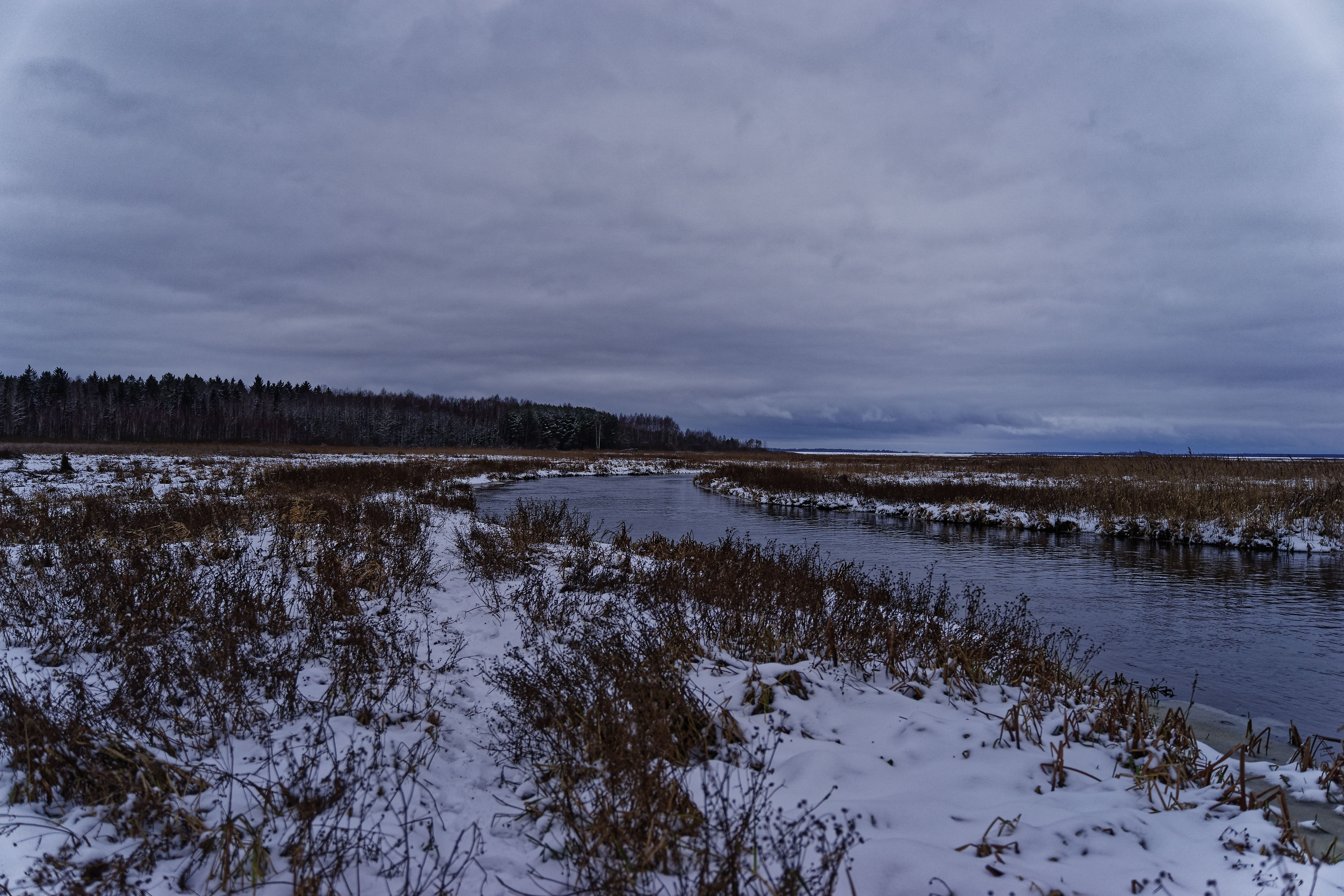 Narew Janury 2019