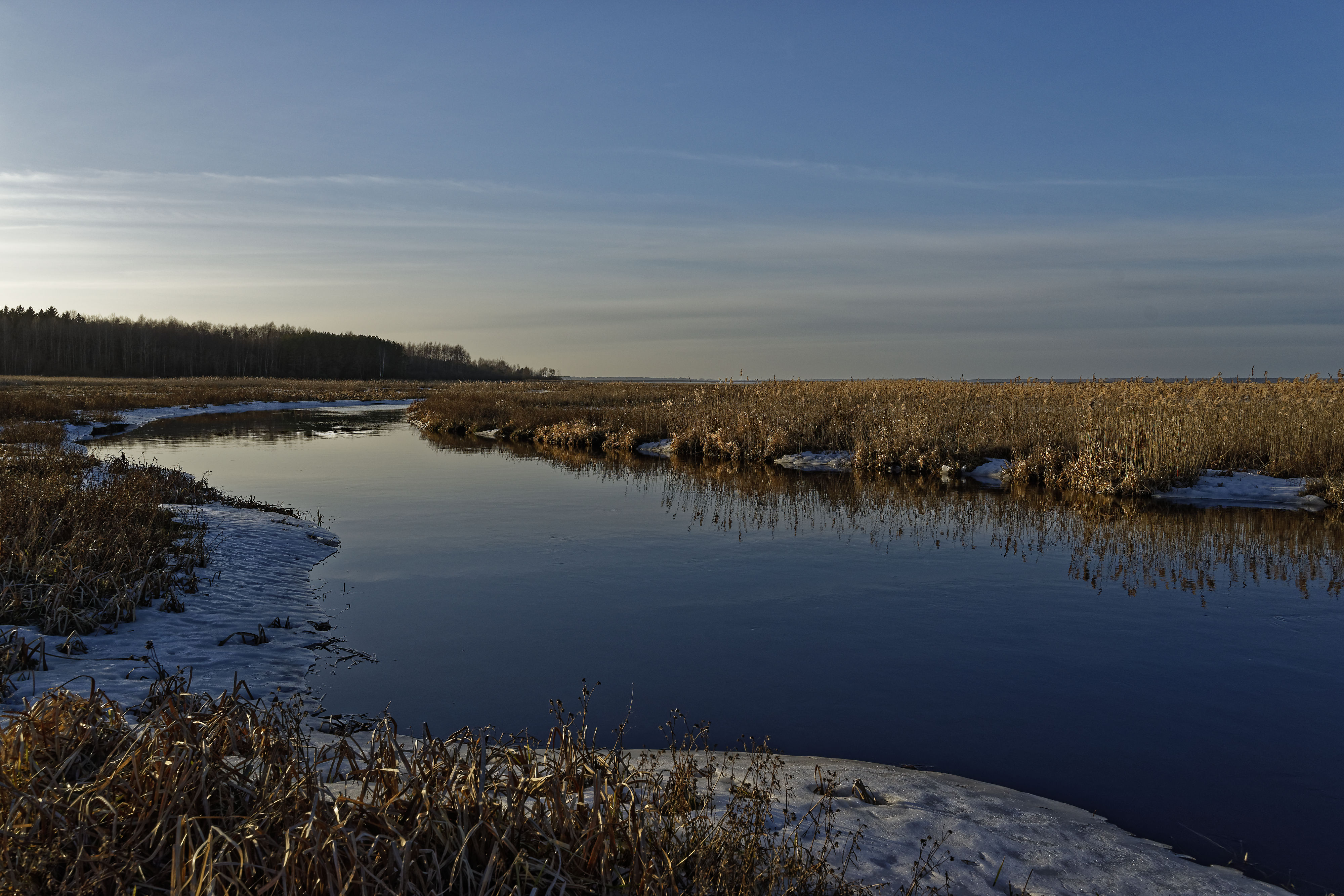 Narew Februar 2019