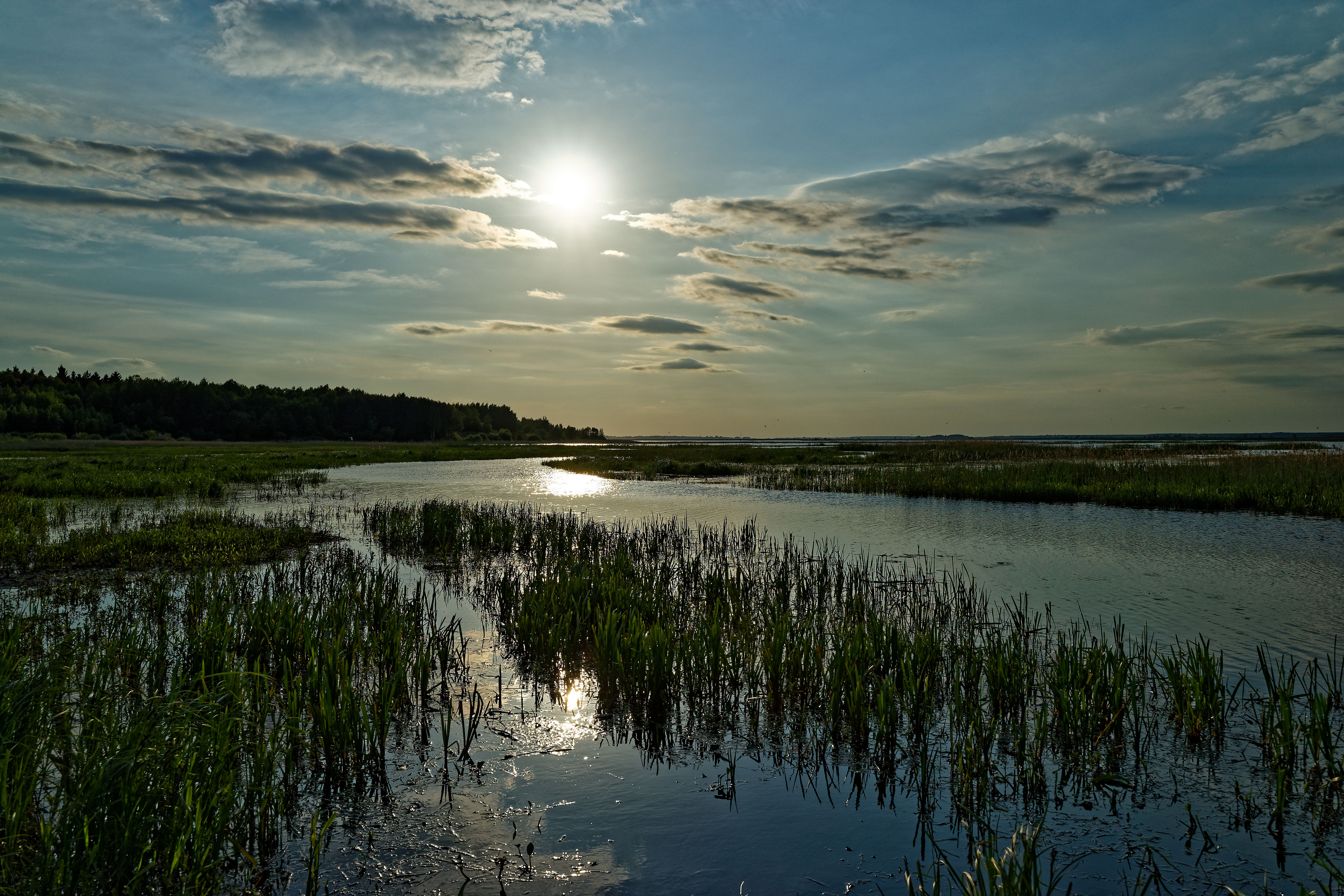 Narew May 2019