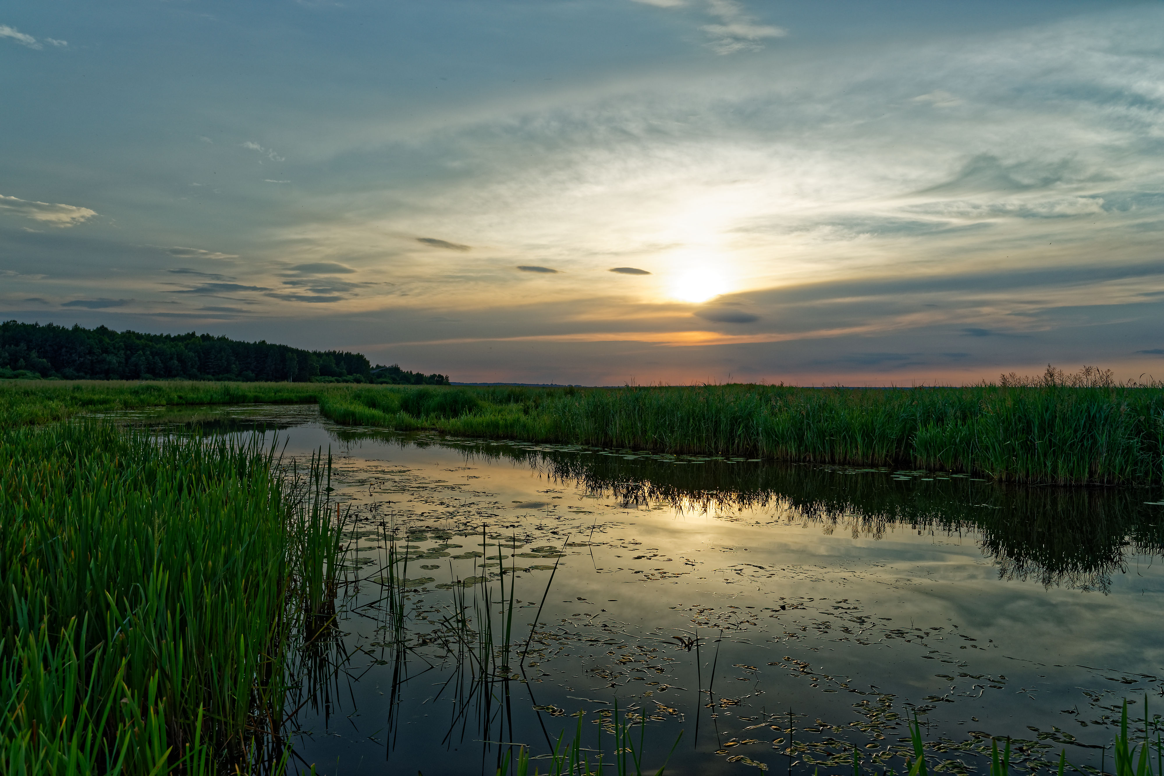 Narew June 2019