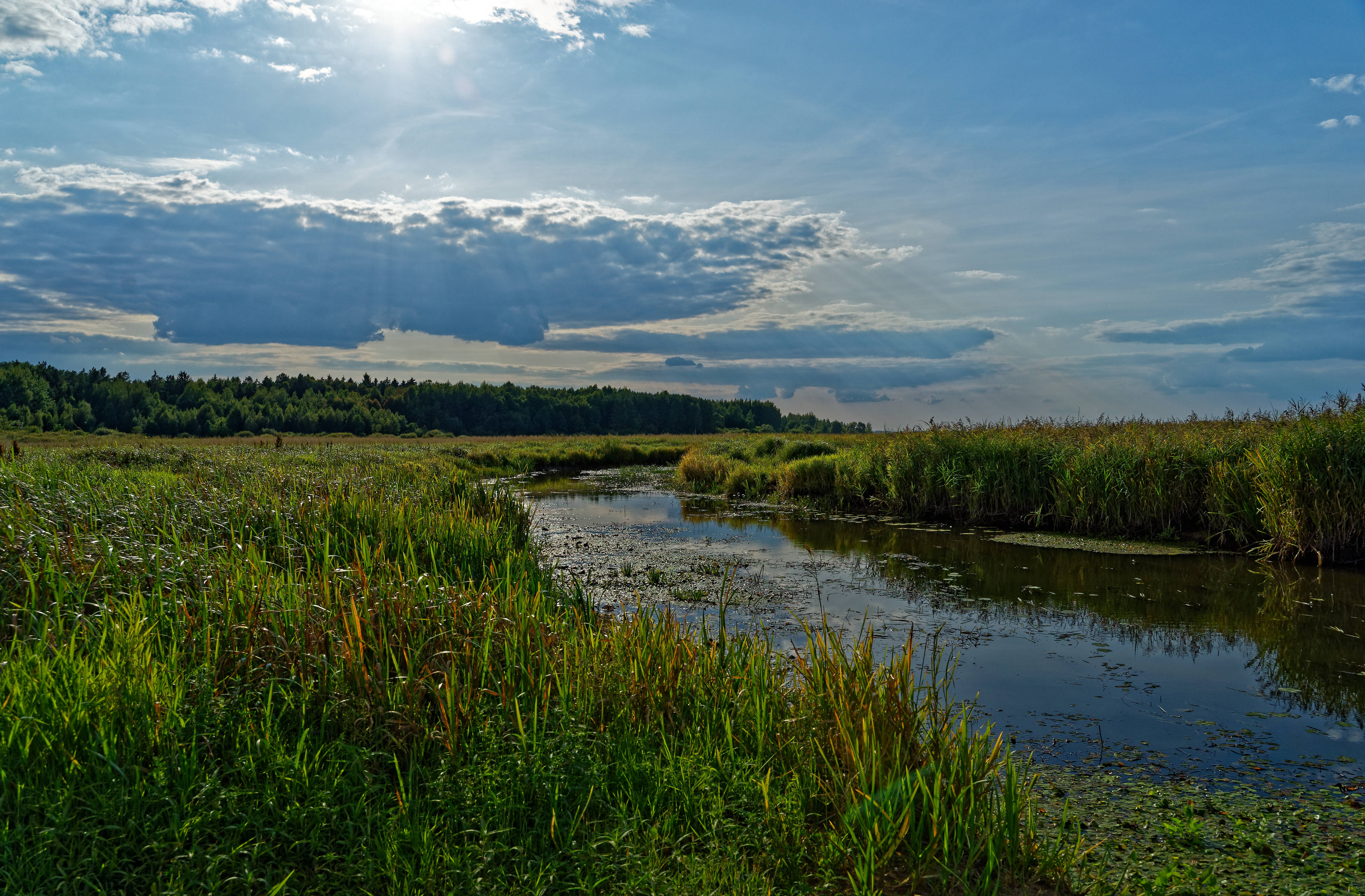 Narew August 2019