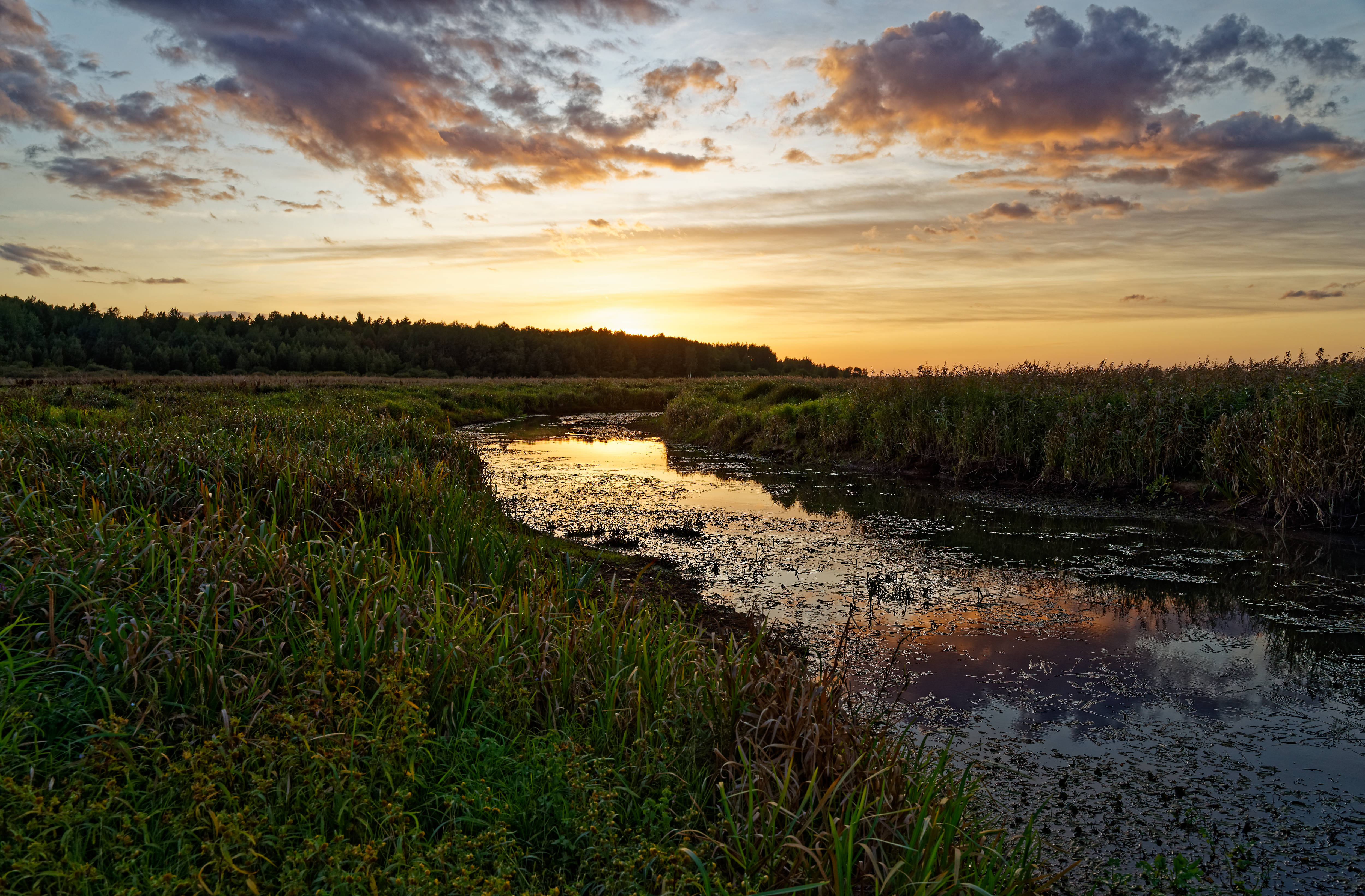 Narew September 2019