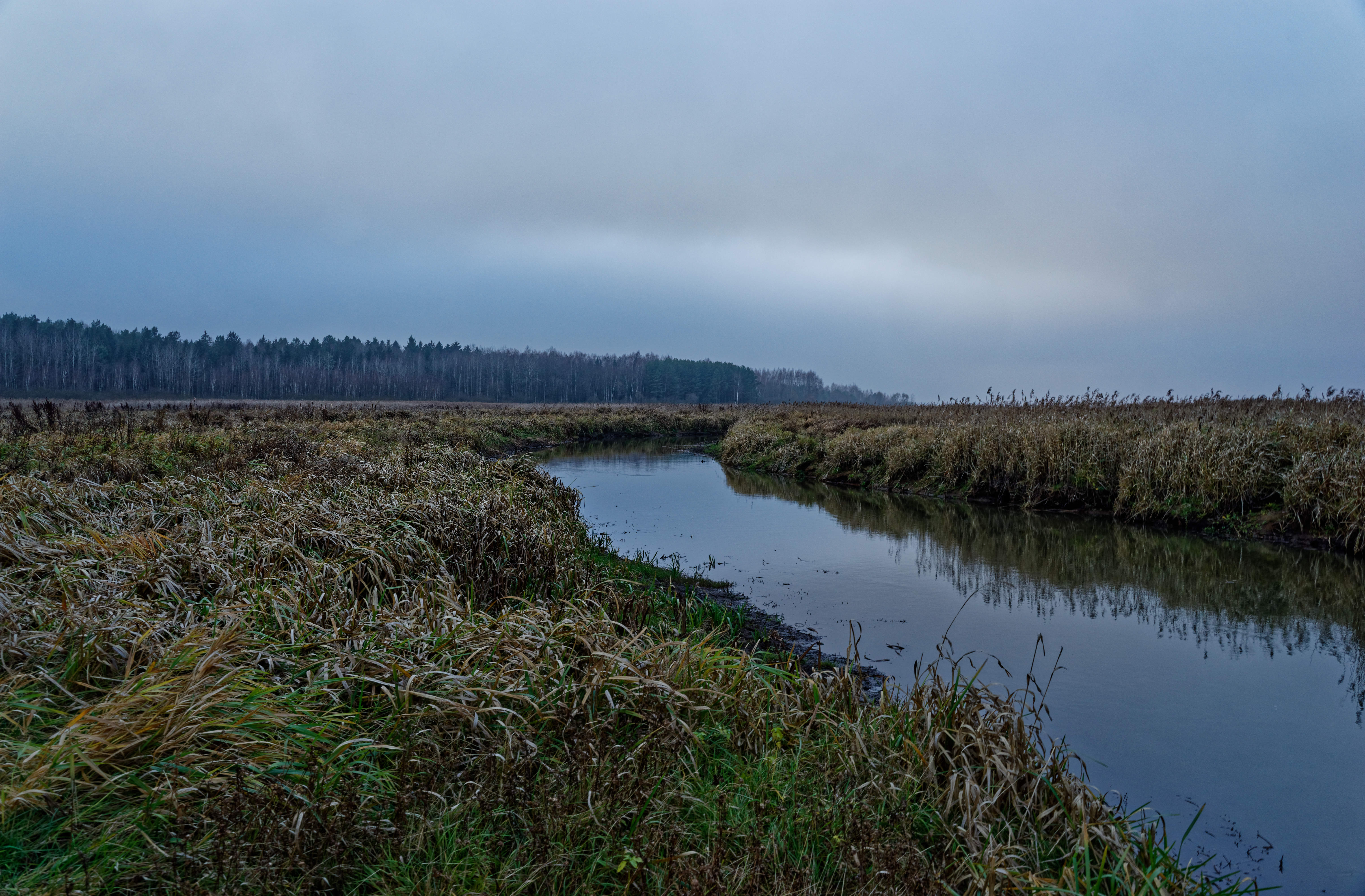 Narew November 2019