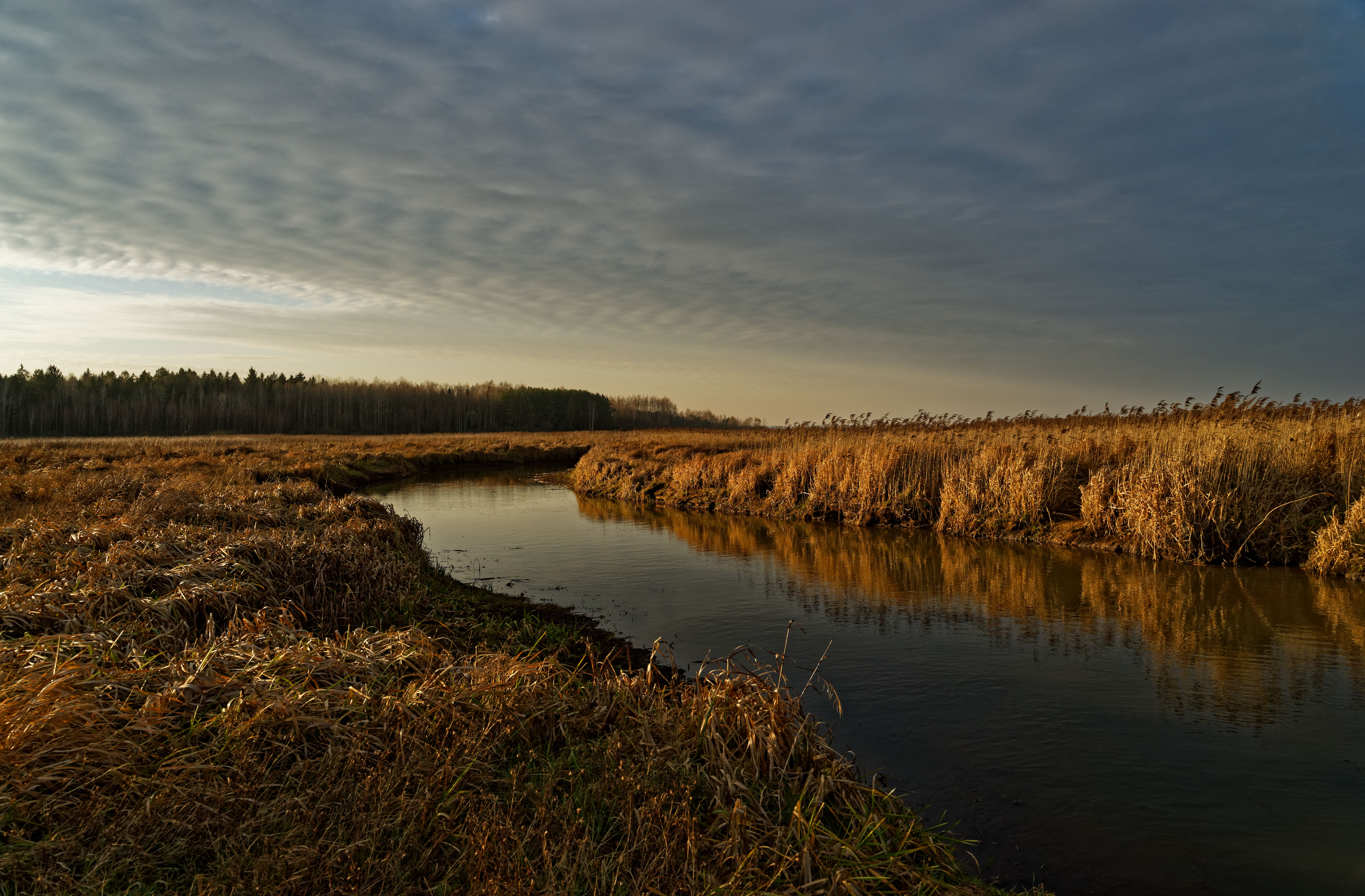 Narew December 2019