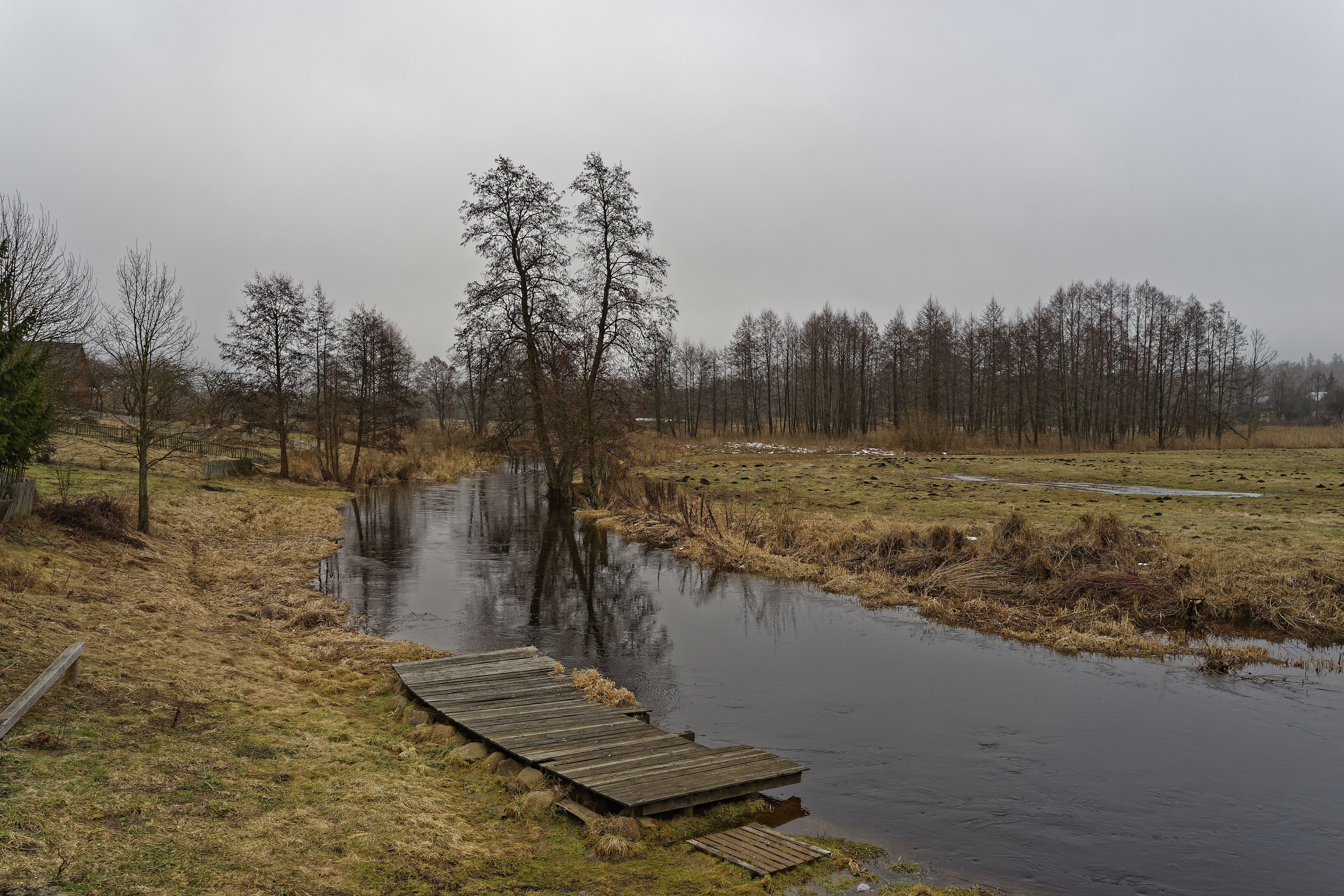 Bojarski Goscienic Narewka Februar 2019