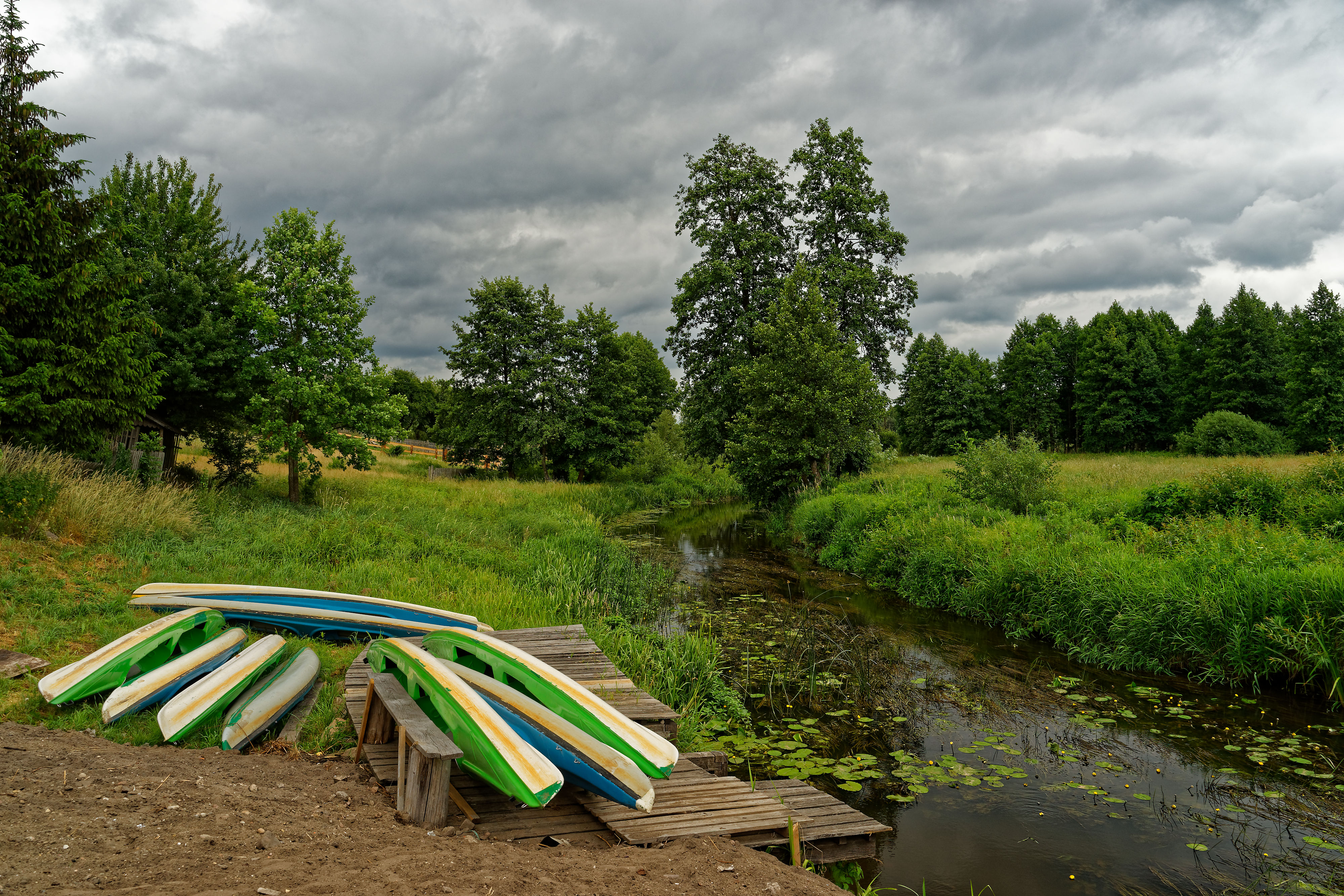 Bojarski Goscienic Narewka June 2019