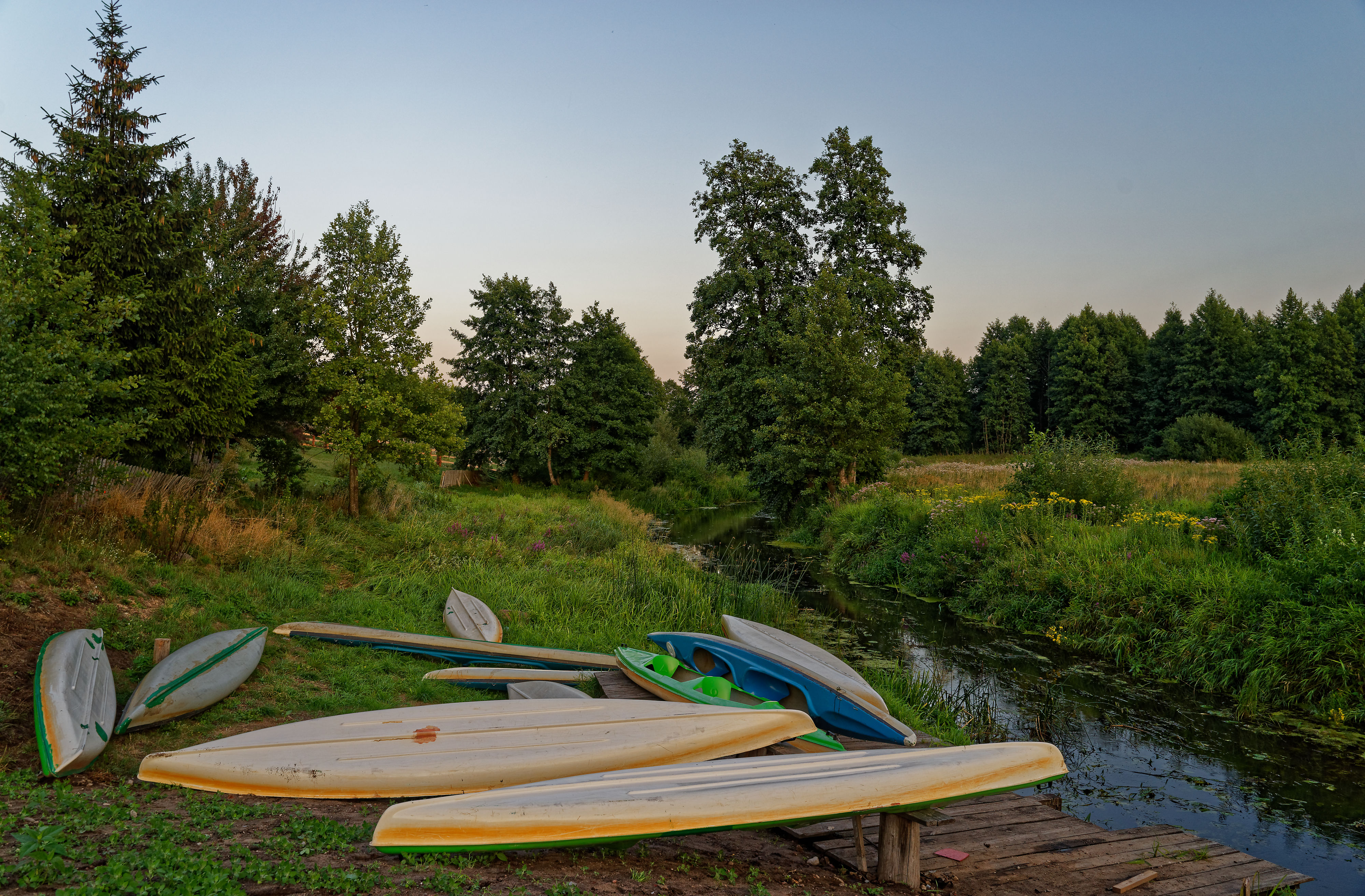 Bojarski Goscienic Narewka July 2019