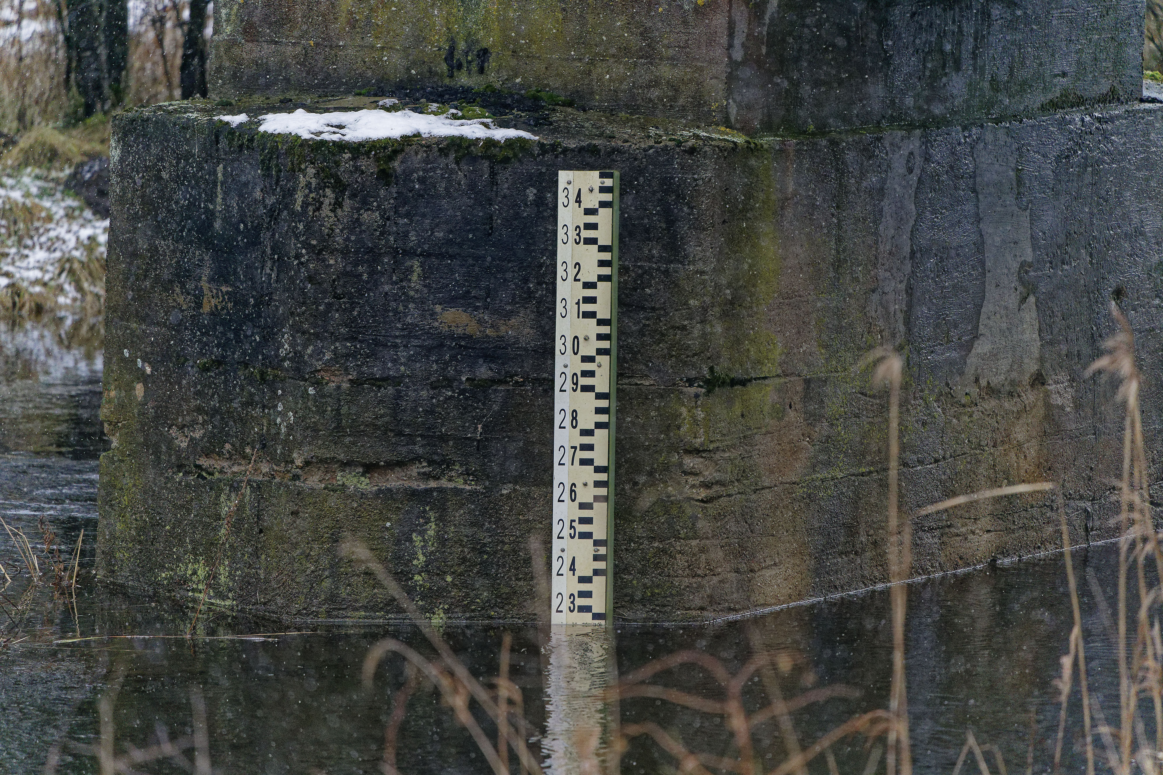 Wasserstand Narewka Janury 2019 Wasserstand Narewka Janury 2019