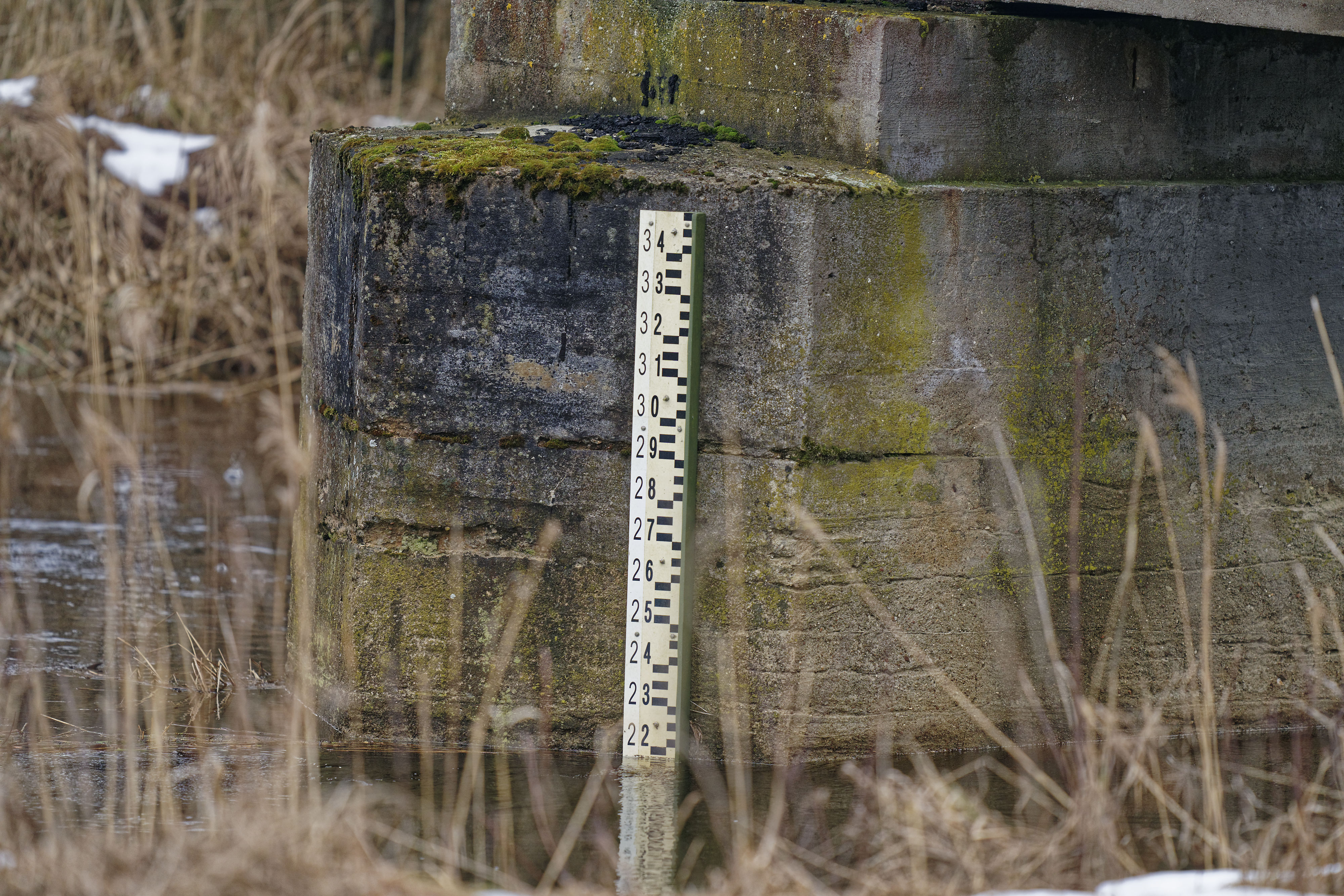 Wasserstand Narewka Februar 2019 Wasserstand Narewka Februar 2019