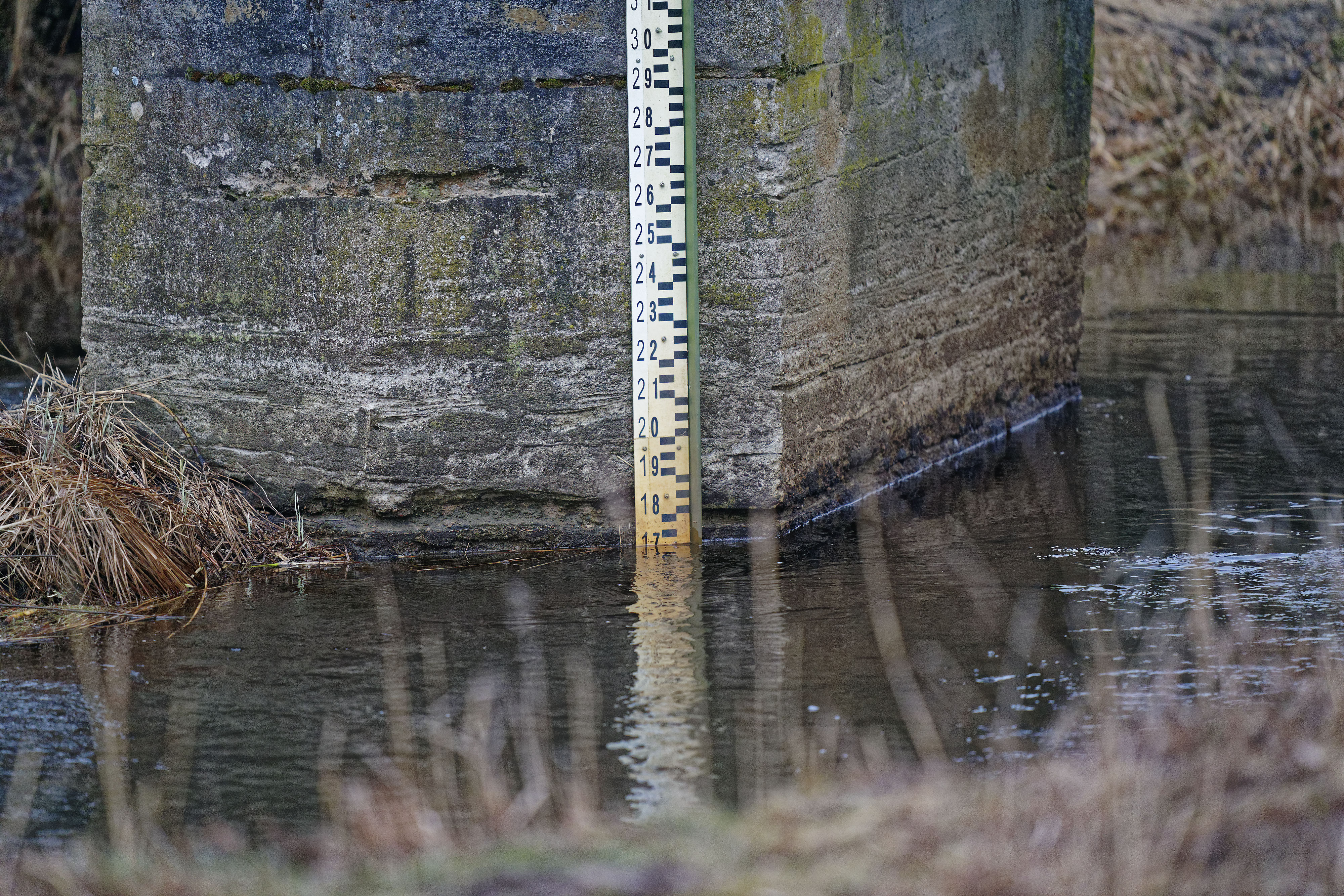 Wasserstand Narewka March 2019 Wasserstand Narewka March 2019