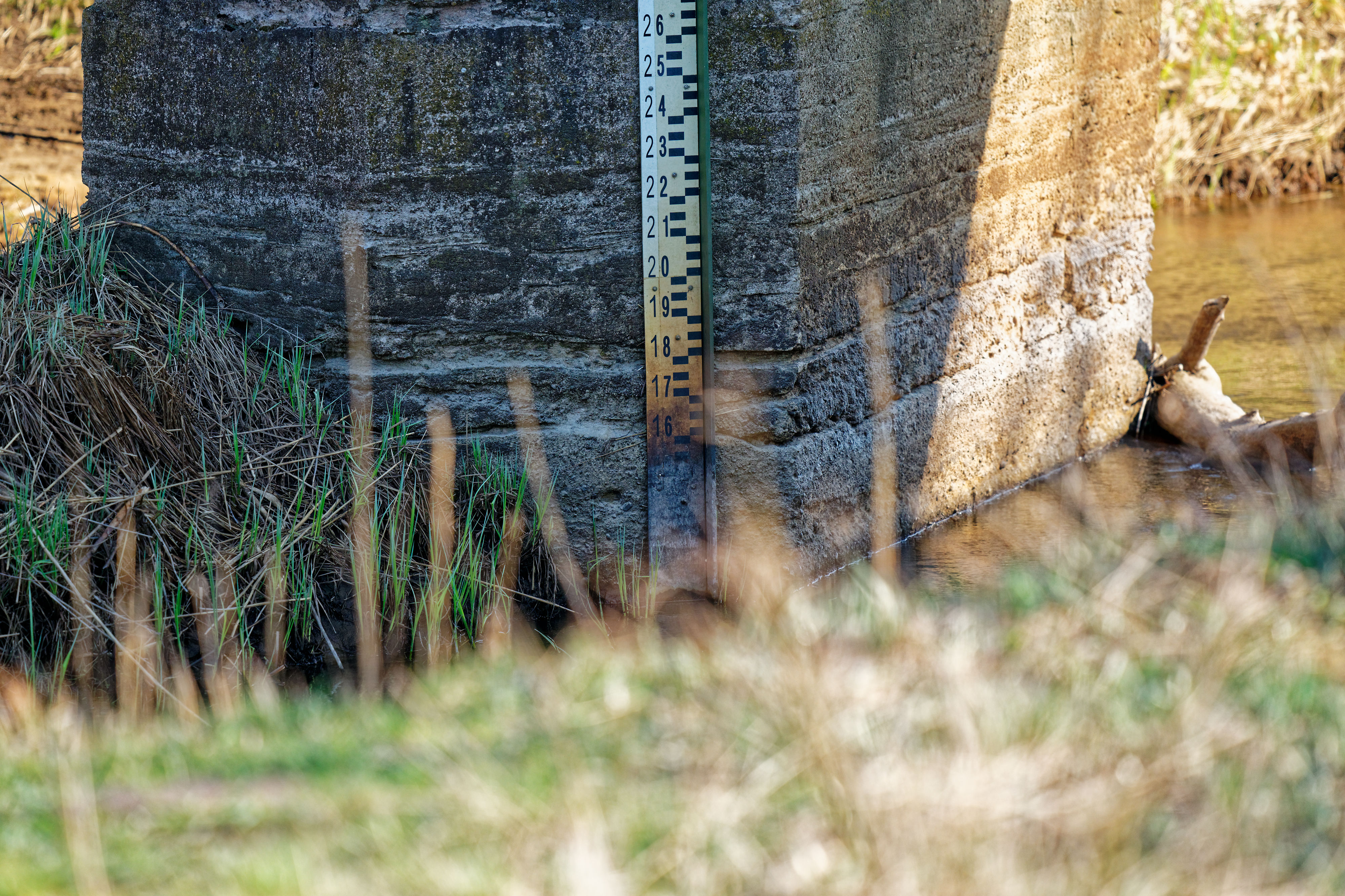 Wasserstand Narewka April 2019 Wasserstand Narewka April 2019