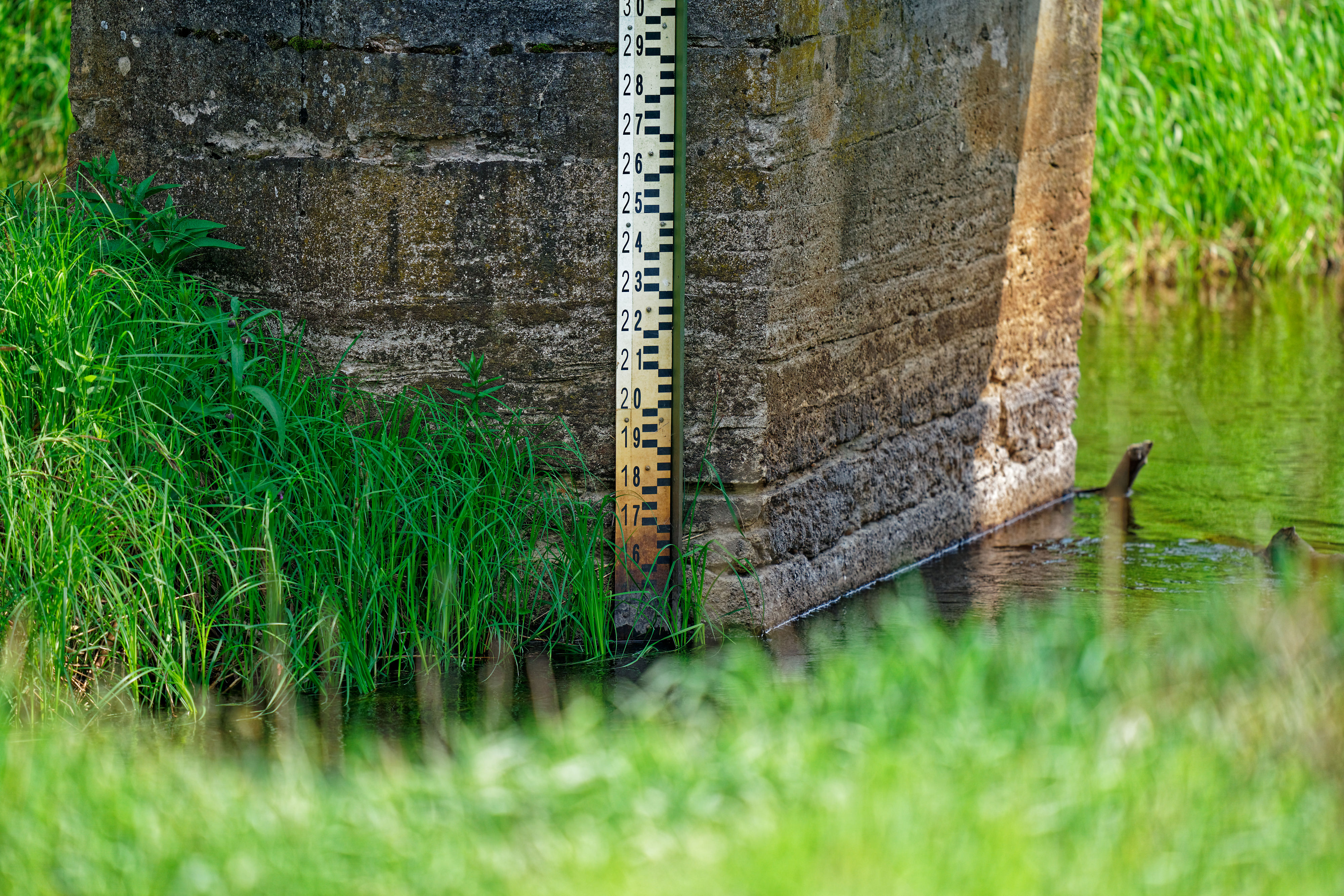Wasserstand Narewka May 2019 Wasserstand Narewka May 2019