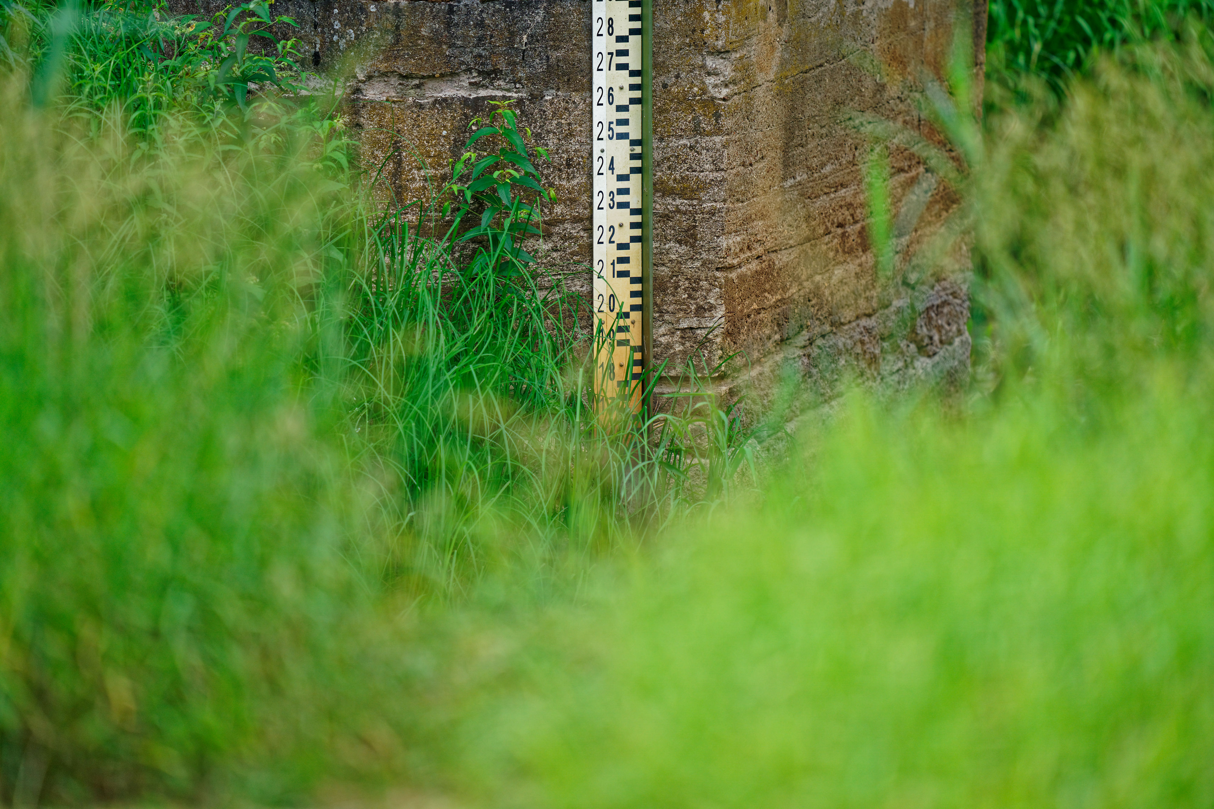 Wasserstand Narewka June 2019 Wasserstand Narewka June 2019