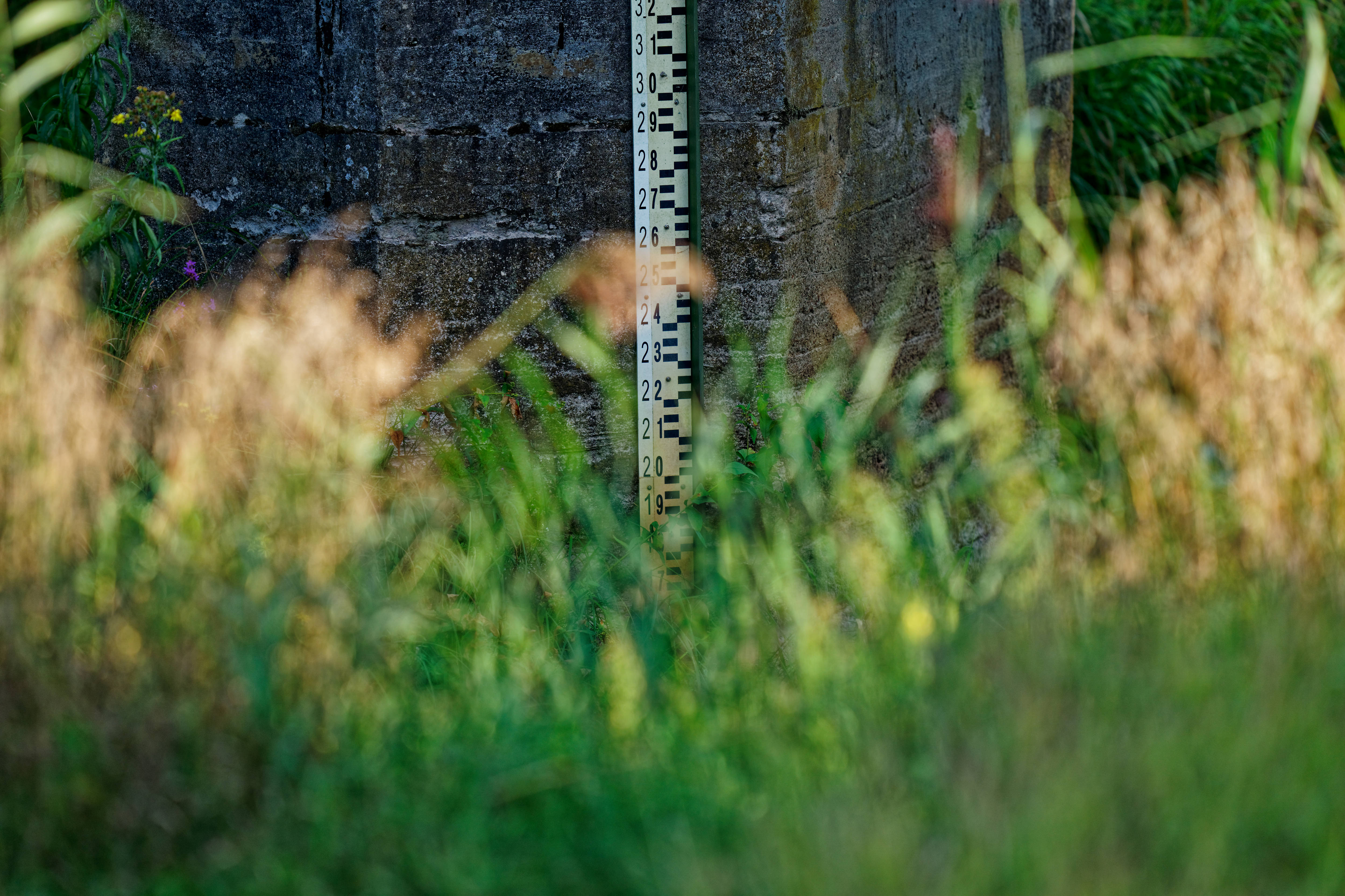 Wasserstand Narewka August 2019 Wasserstand Narewka August 2019