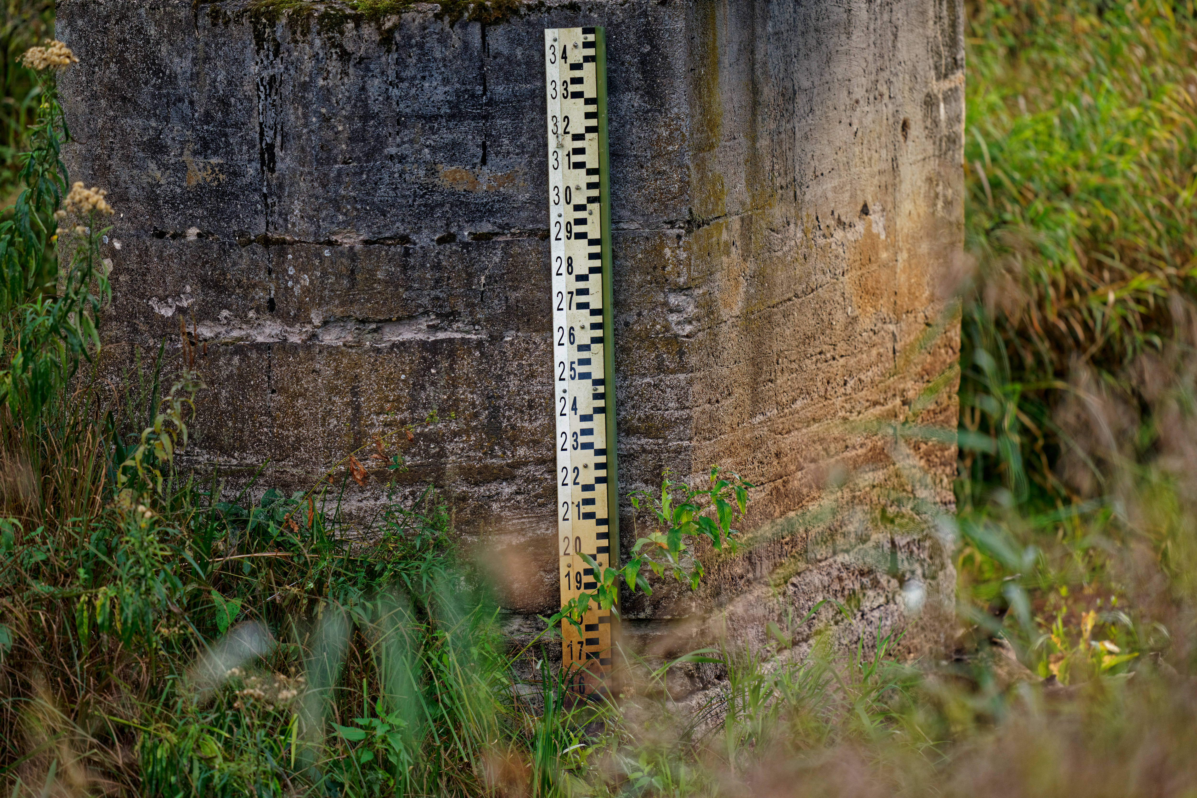 Wasserstand Narewka September 2019 Wasserstand Narewka September 2019