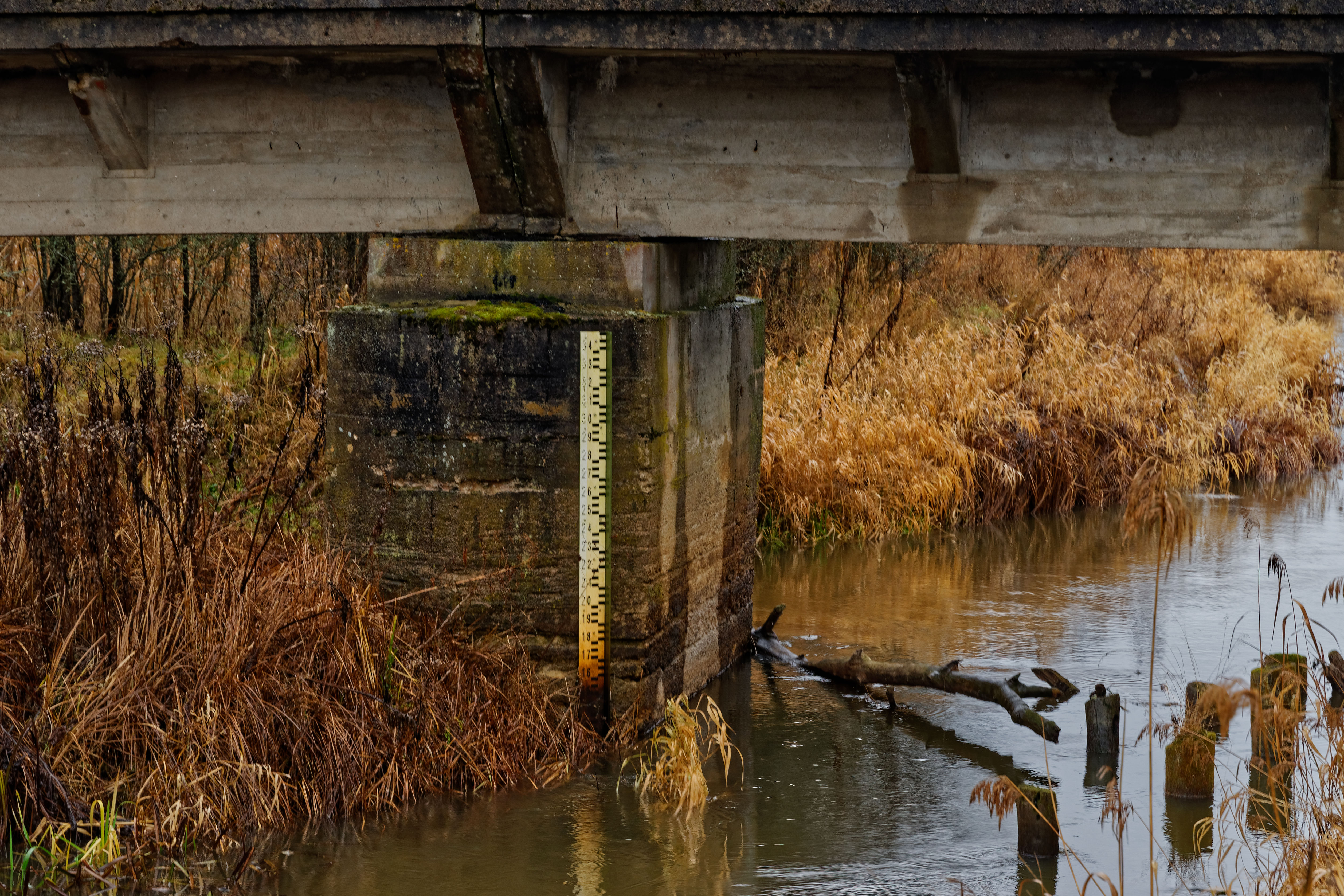 Wasserstand Narewka  December 2019