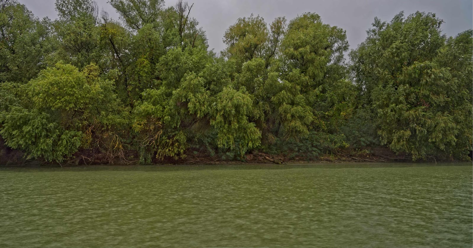 Landschaft im Donaudelta