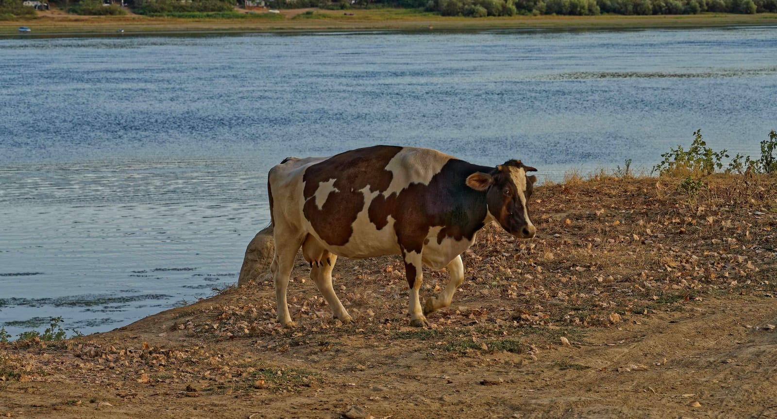 Rumänien Pisculet