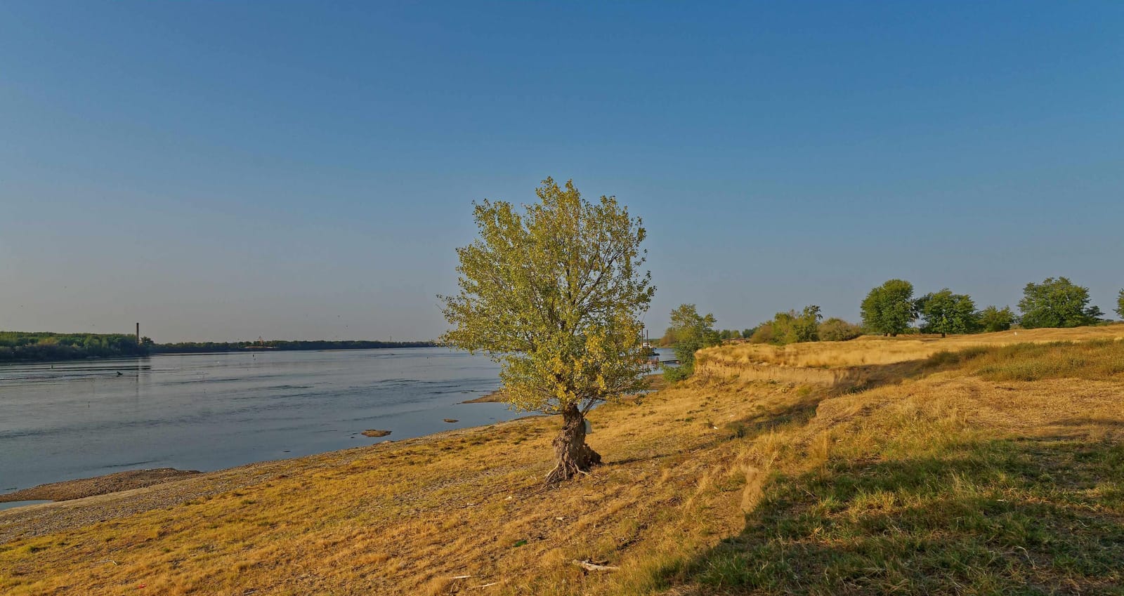 Rumänien Ciupercenii Noi
