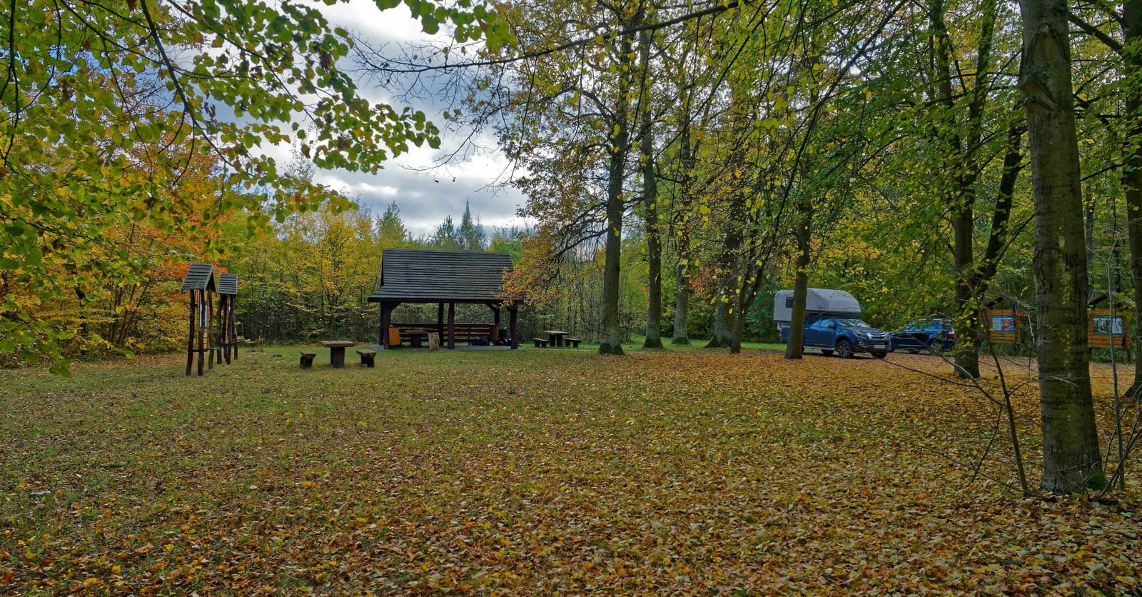 Polen Zelazowka