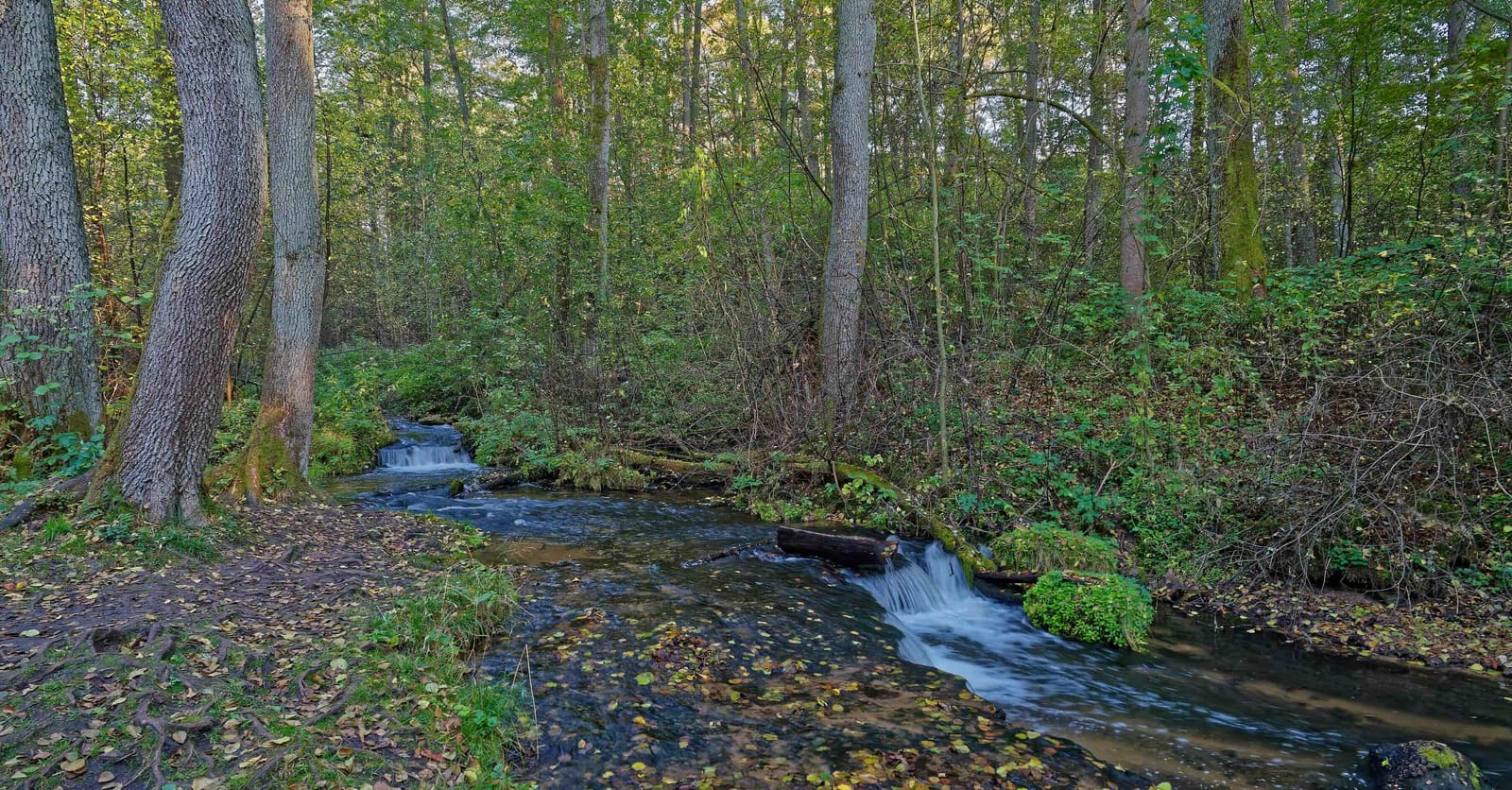 Polen Czartowe Pole Trail