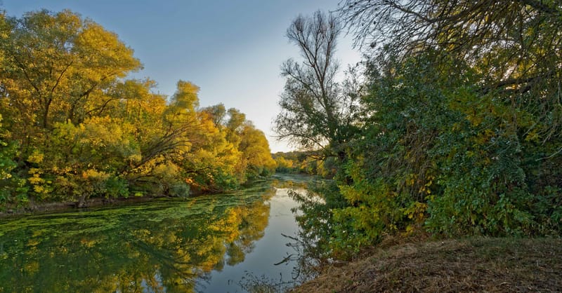 Reise zum Donaudelta Woche 8