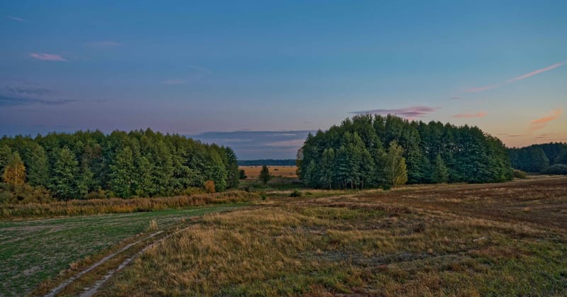 Polen Karczunek