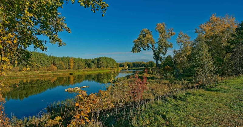Polen Mezenin