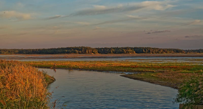 Reise zum Donaudelta Woche 9