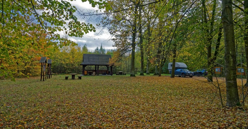 Polen Zelazowka